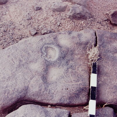 inscription of siglum CSNS 479