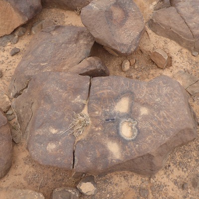 inscription of siglum CSNS 480