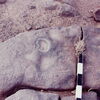 inscription of siglum CSNS 480