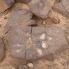 inscription of siglum CSNS 480