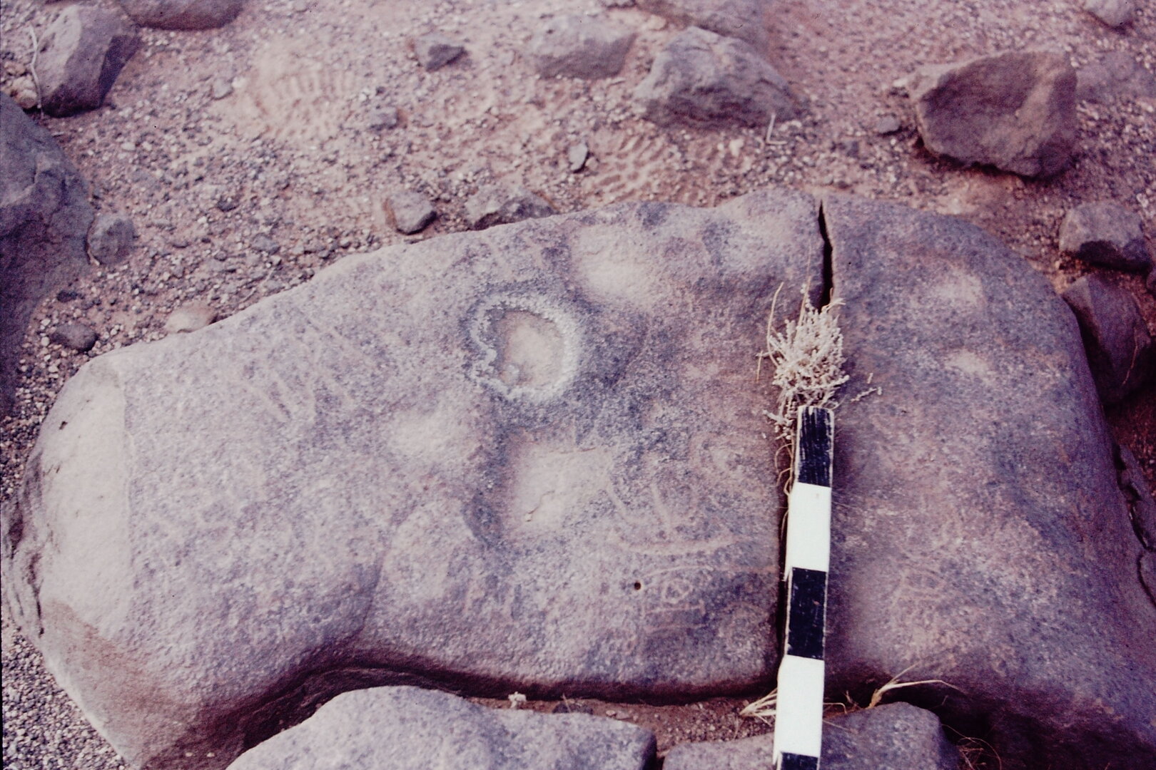 inscription of siglum CSNS 483