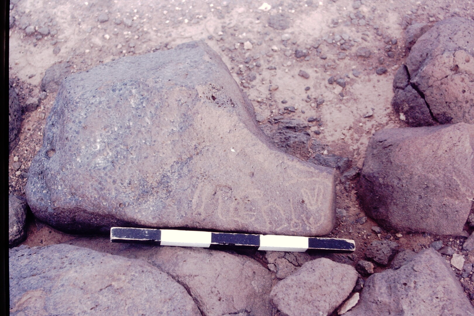 inscription of siglum CSNS 484