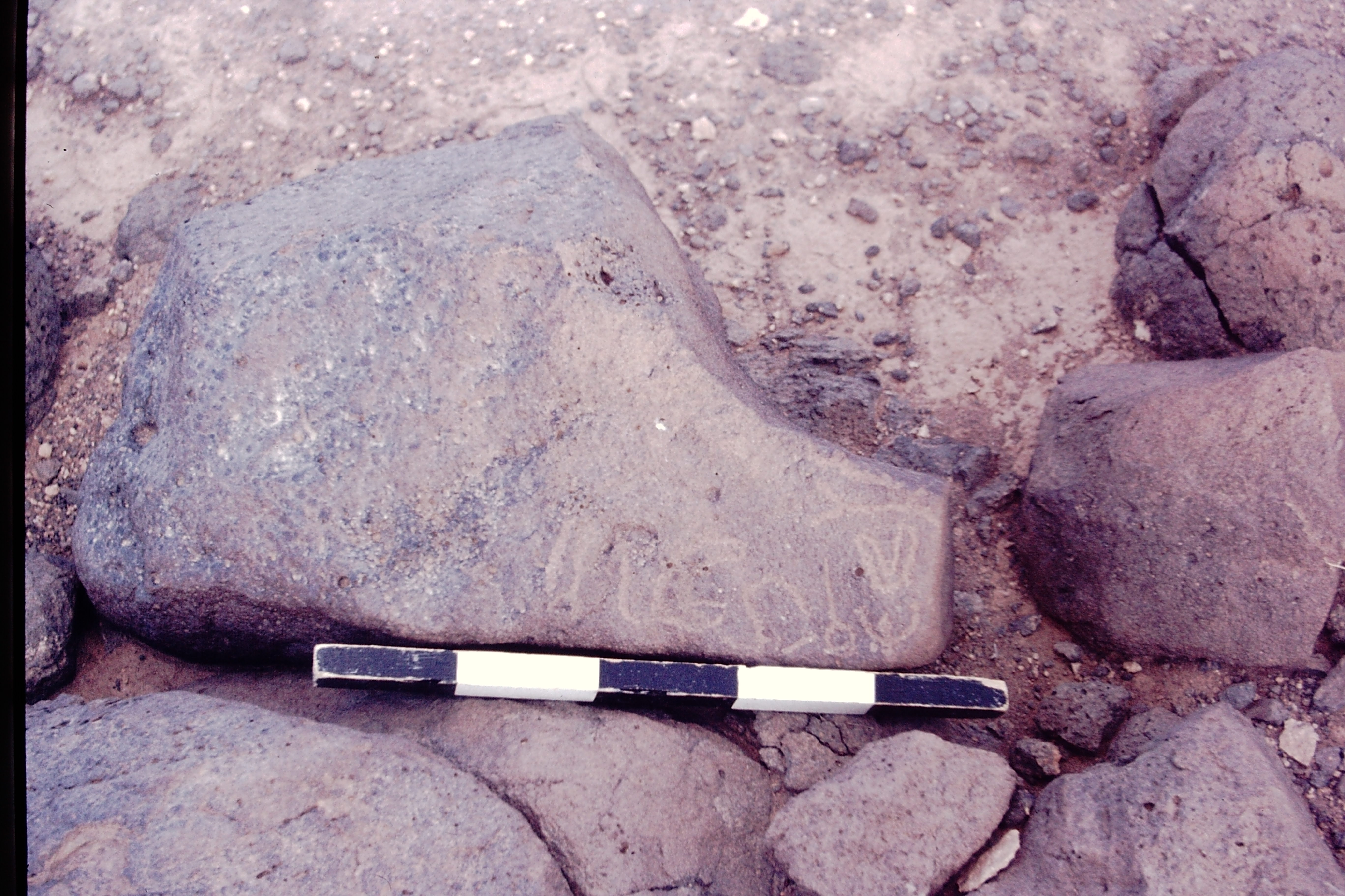 inscription of siglum CSNS 484