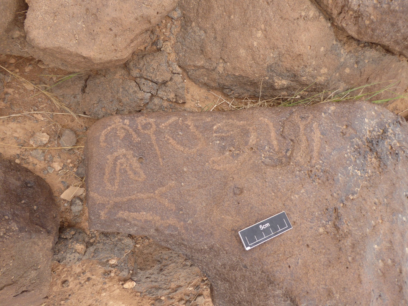 inscription of siglum CSNS 484
