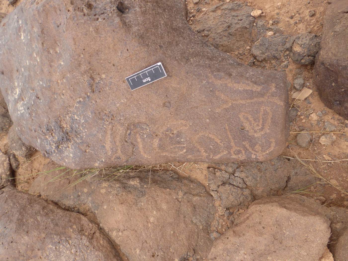 inscription of siglum CSNS 484