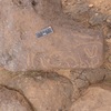 inscription of siglum CSNS 484