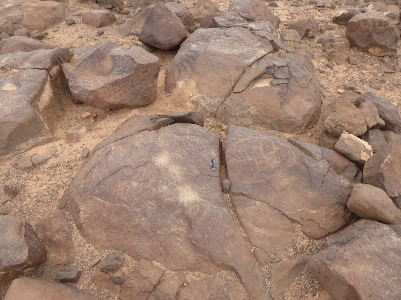 inscription of siglum CSNS 485