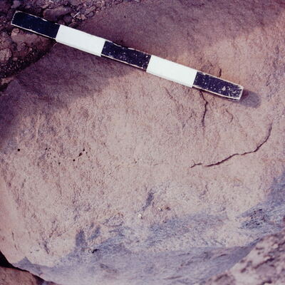 inscription of siglum CSNS 491