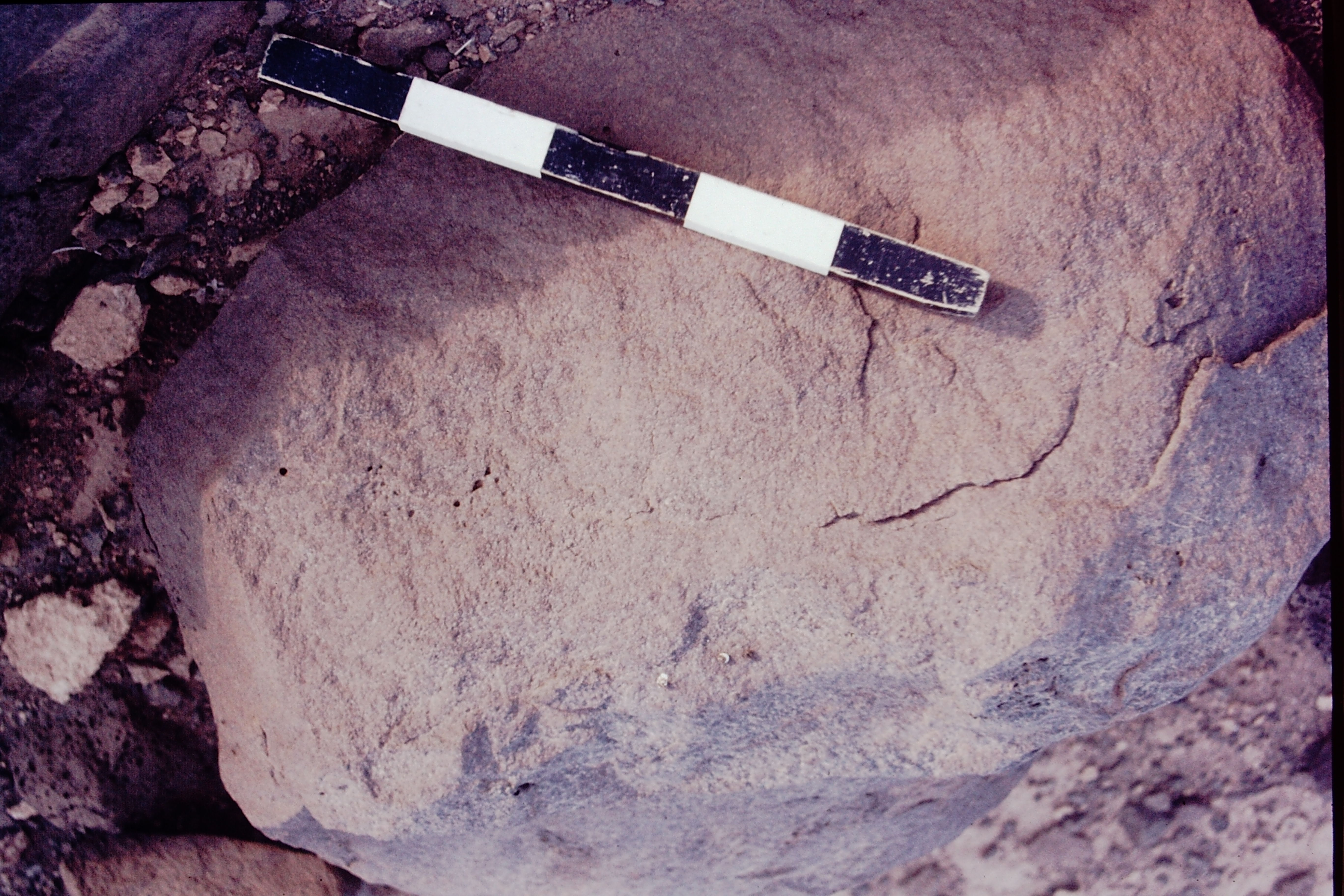 inscription of siglum CSNS 491