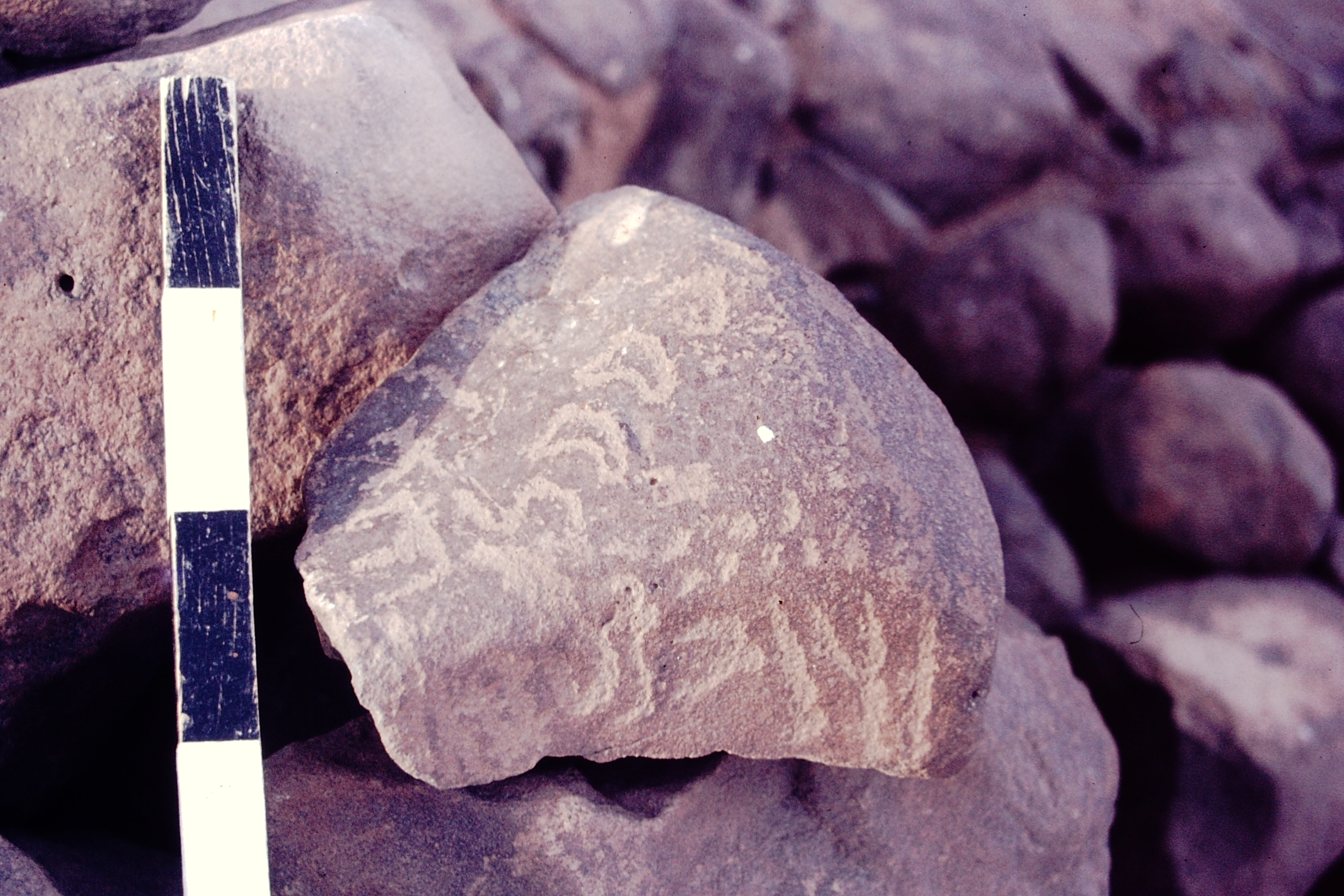 inscription of siglum CSNS 492