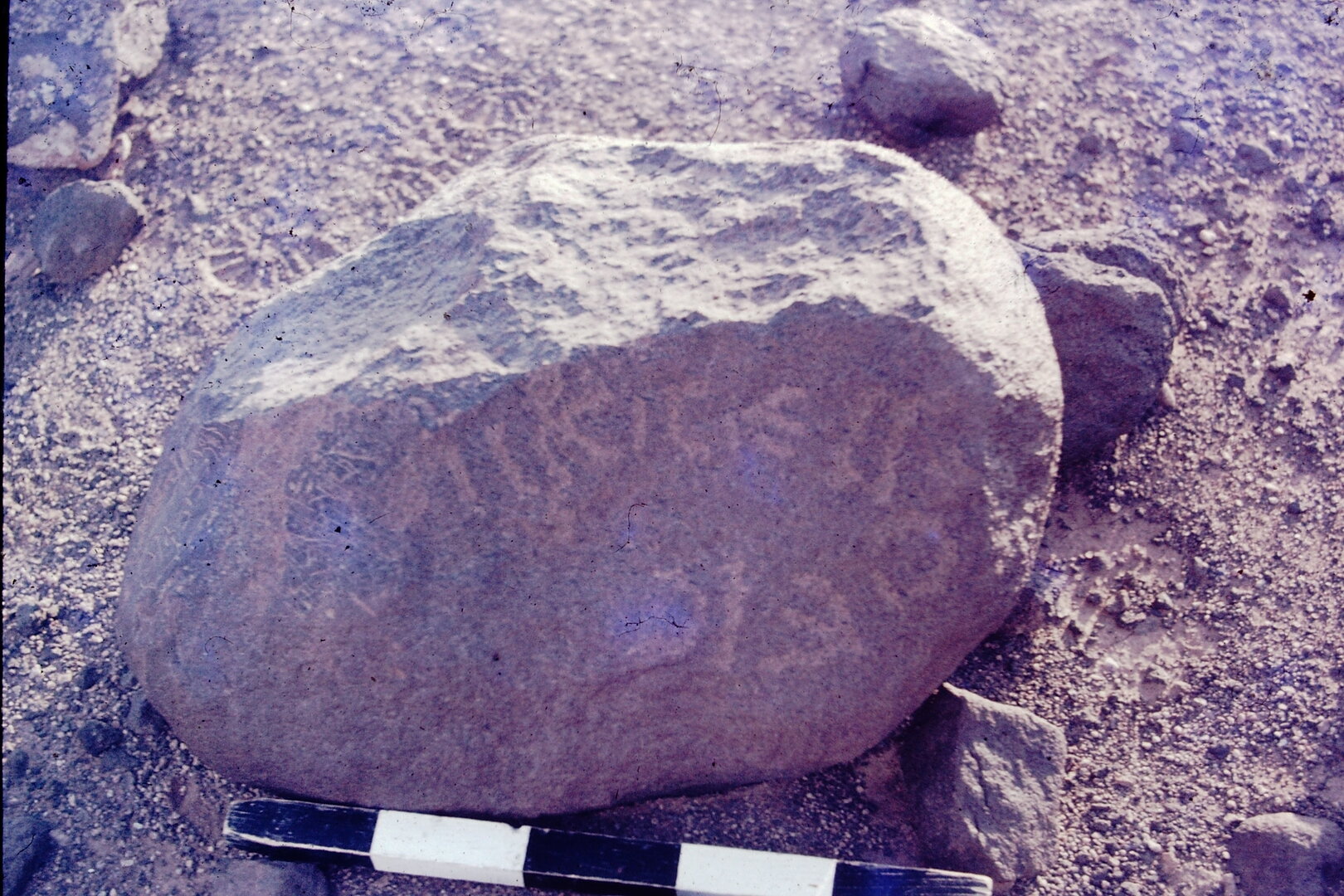 inscription of siglum CSNS 497