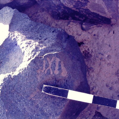 inscription of siglum CSNS 498