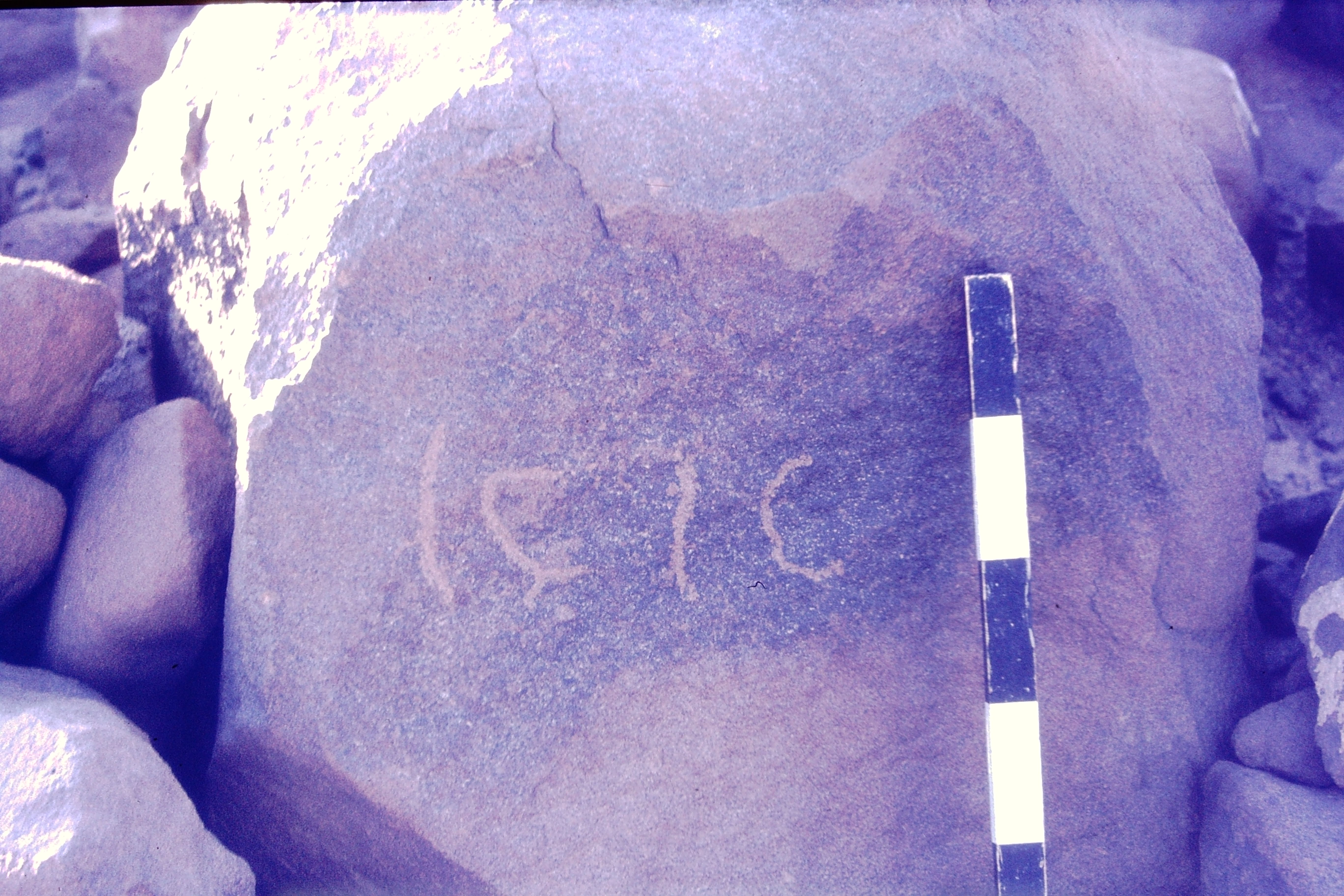 inscription of siglum CSNS 499