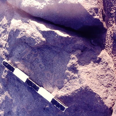 inscription of siglum CSNS 500