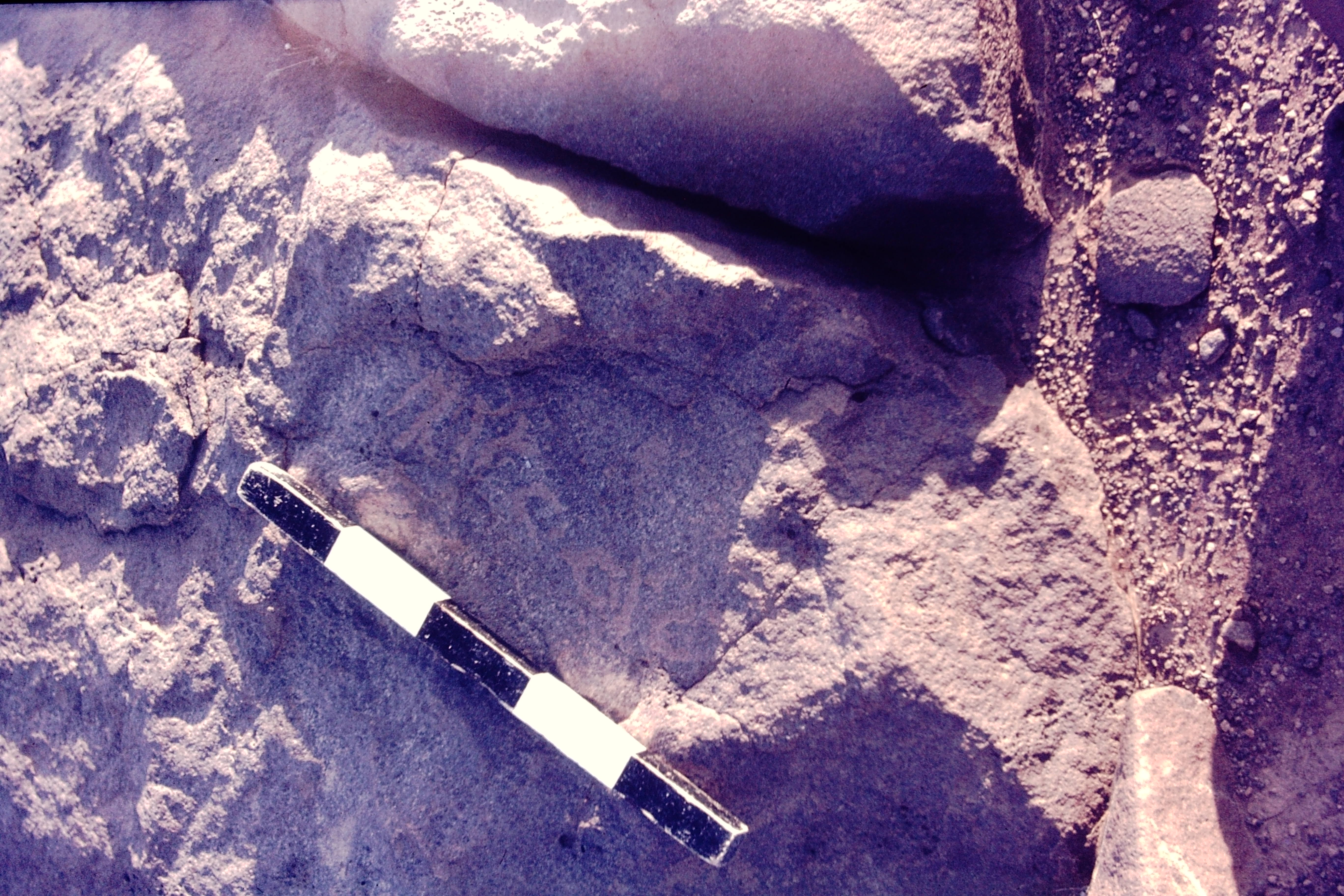 inscription of siglum CSNS 500