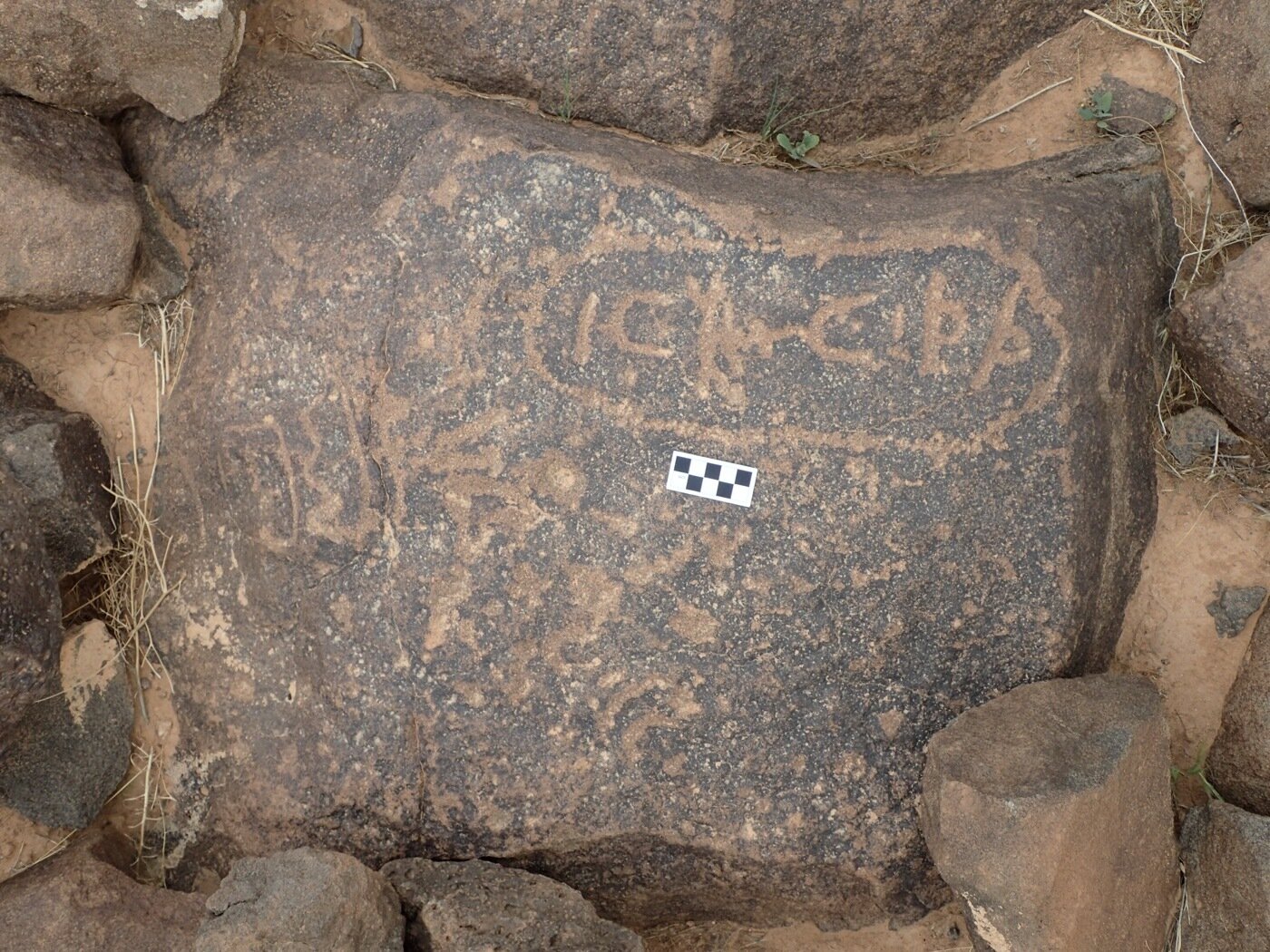 inscription of siglum CSNS 501