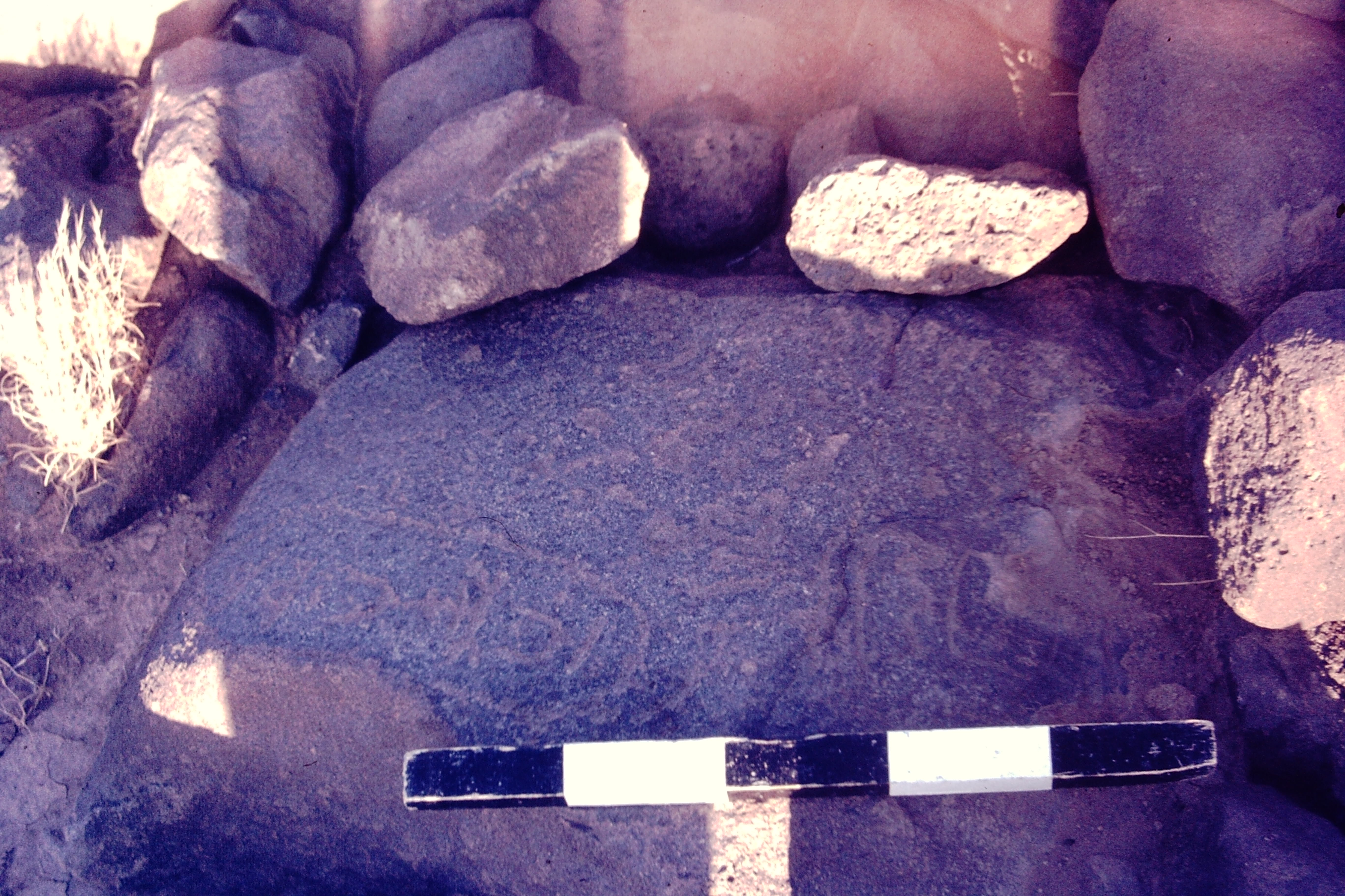 inscription of siglum CSNS 501