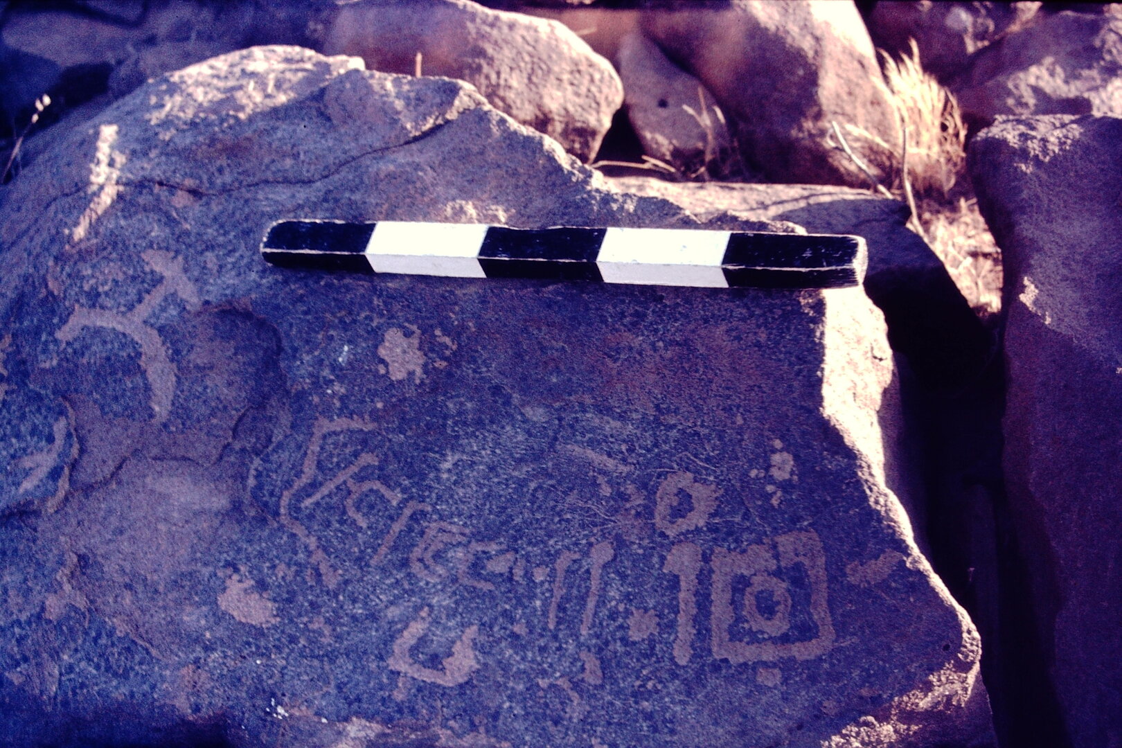 inscription of siglum CSNS 504