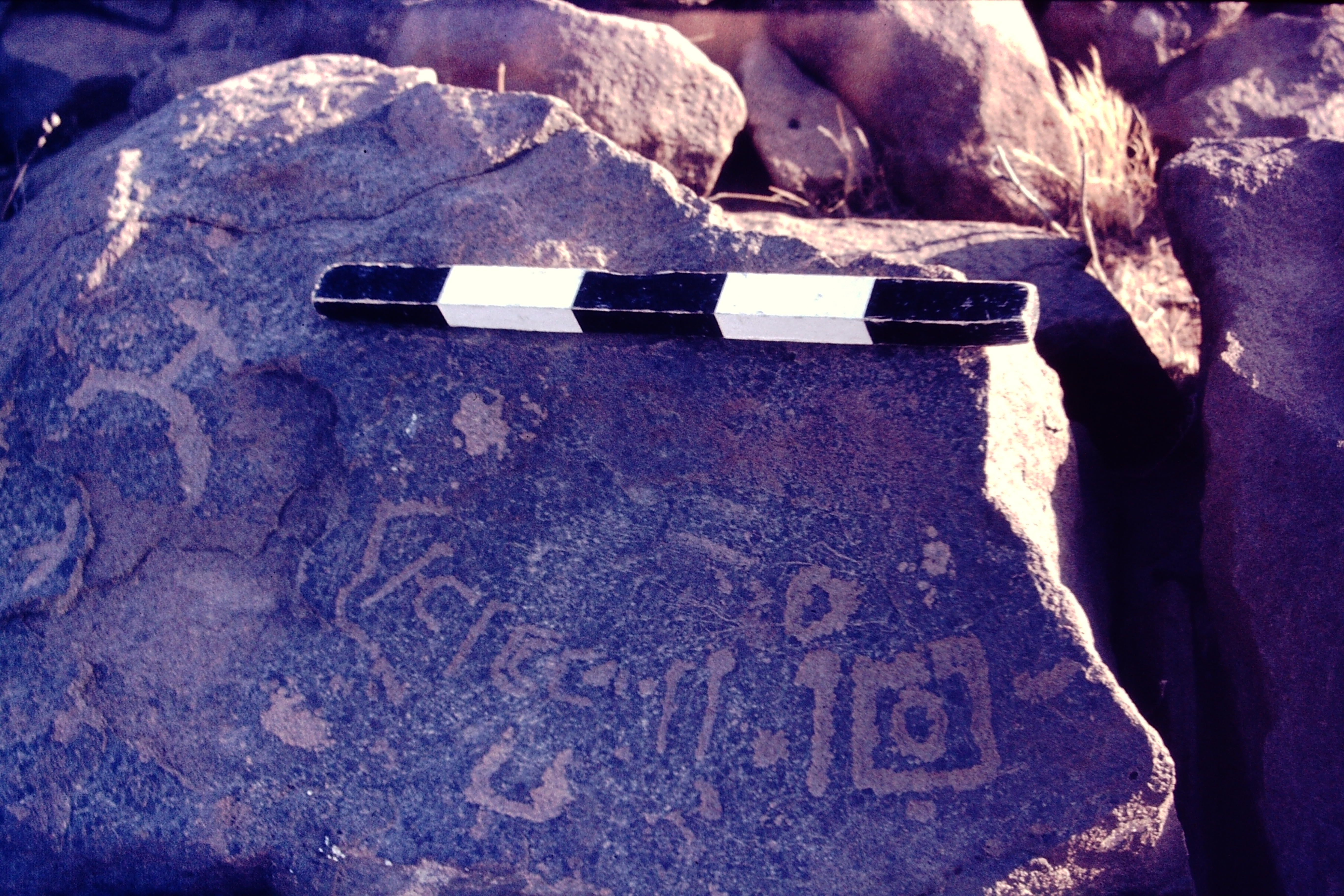 inscription of siglum CSNS 504