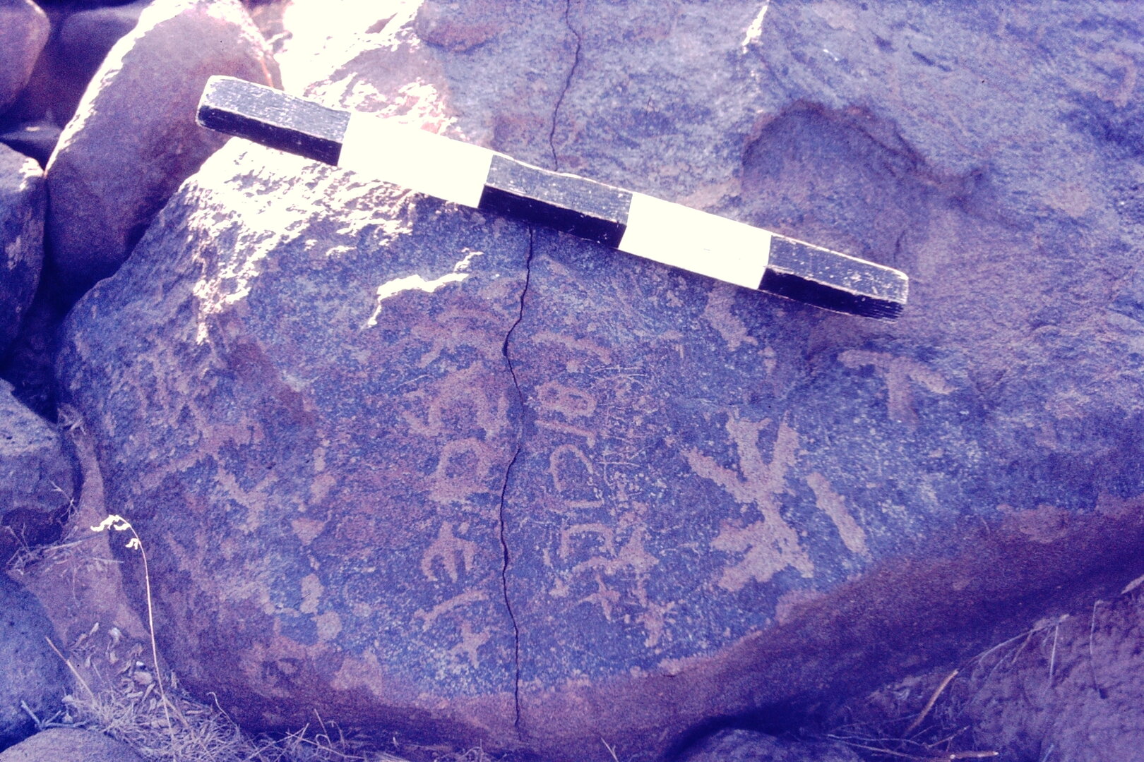 inscription of siglum CSNS 505