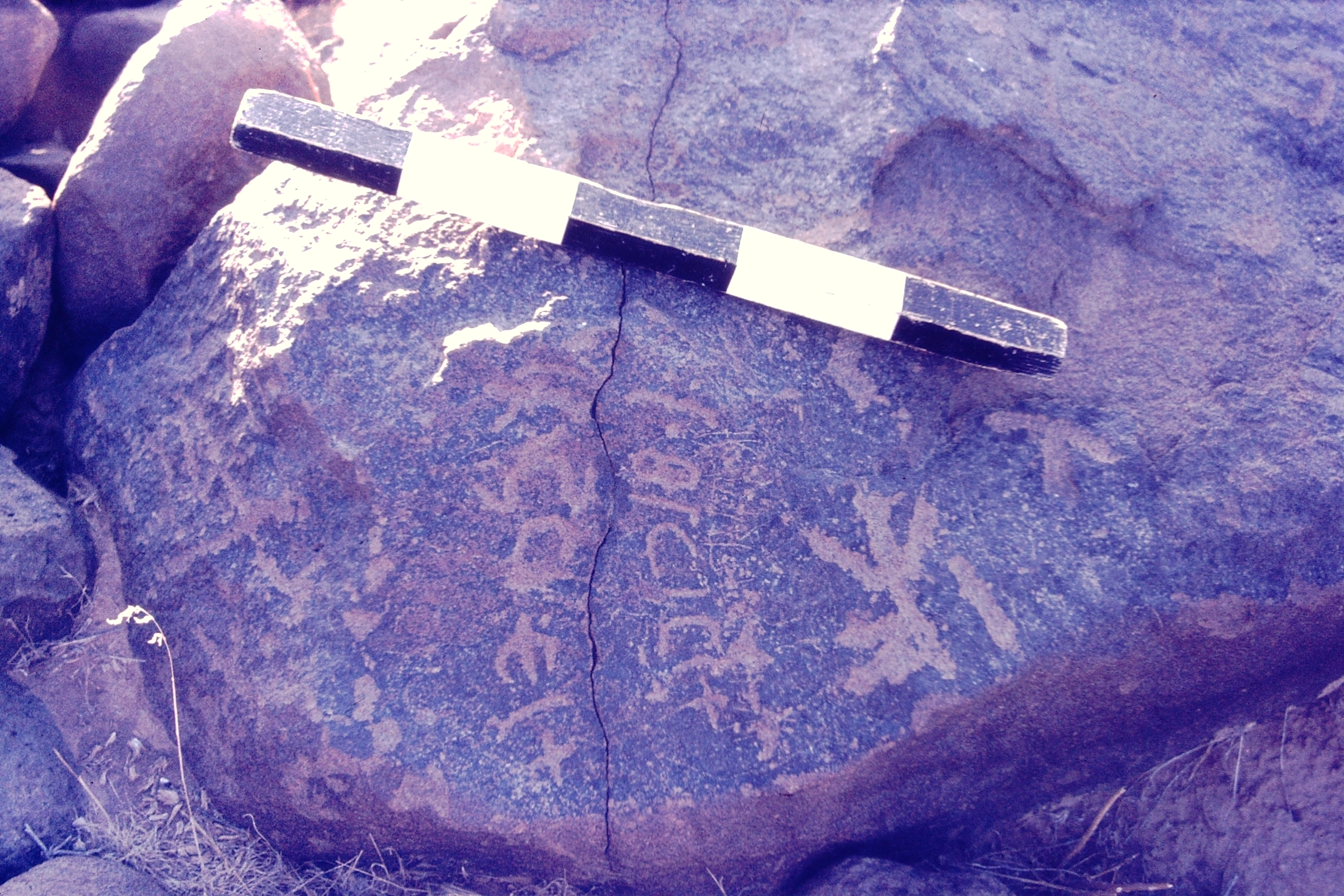 inscription of siglum CSNS 505