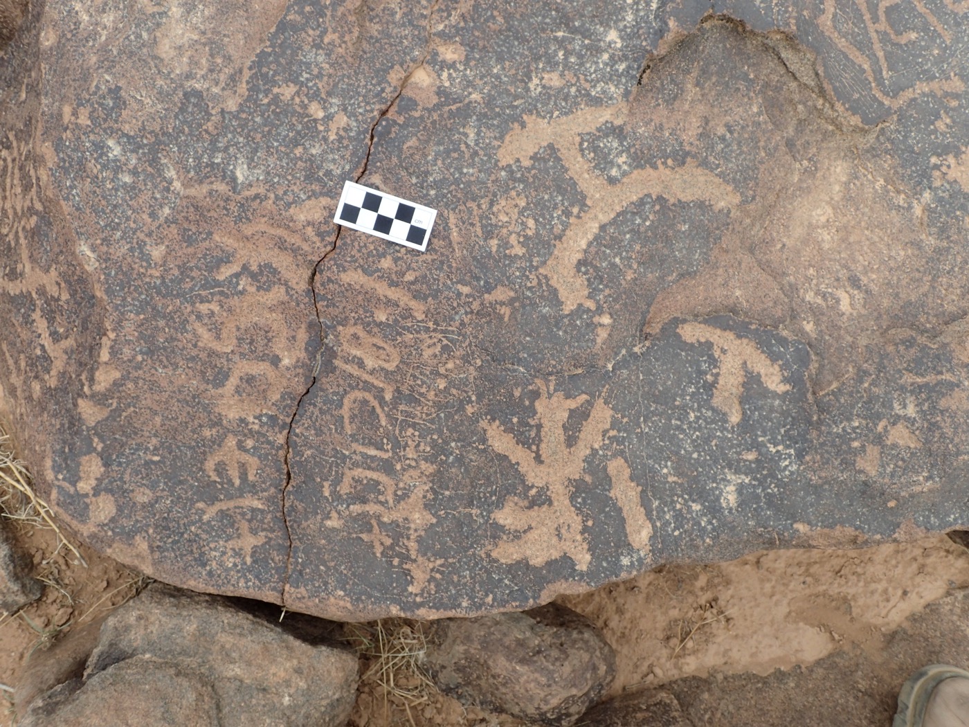 inscription of siglum CSNS 505