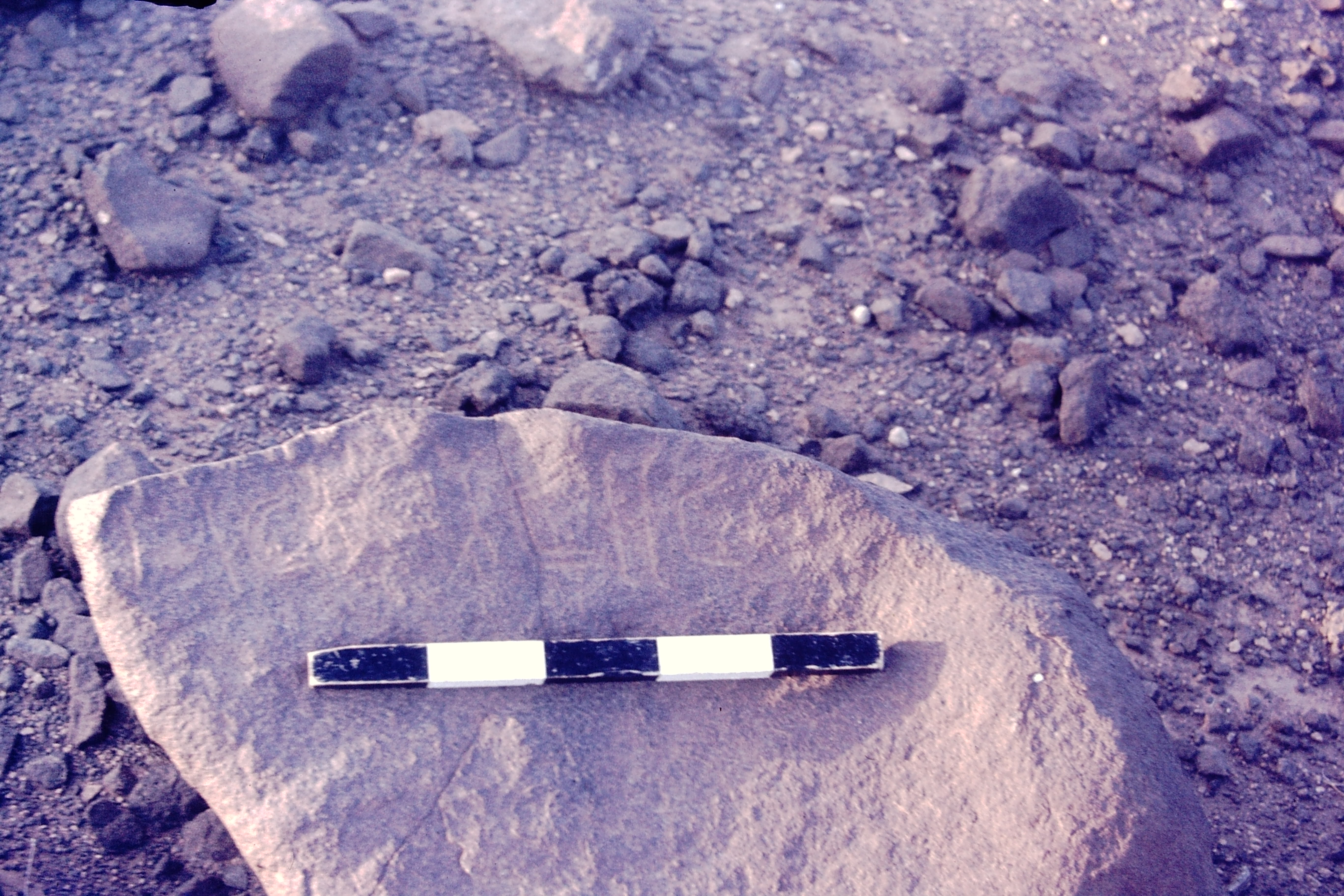 inscription of siglum CSNS 508