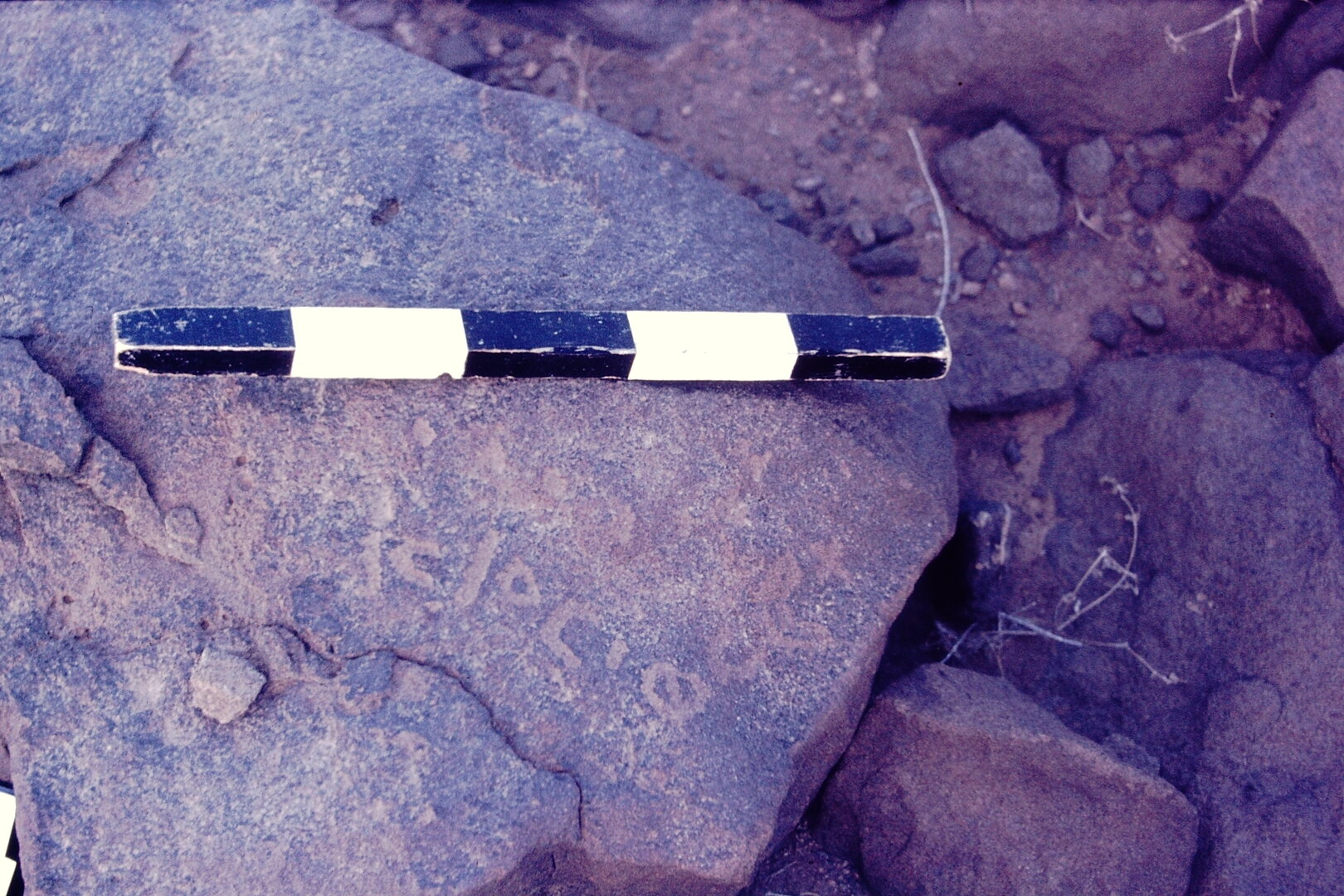 inscription of siglum CSNS 509