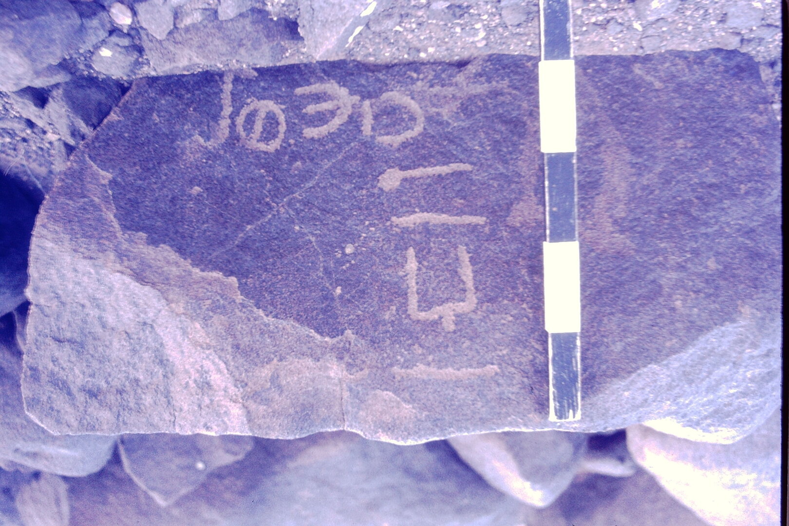 inscription of siglum CSNS 511