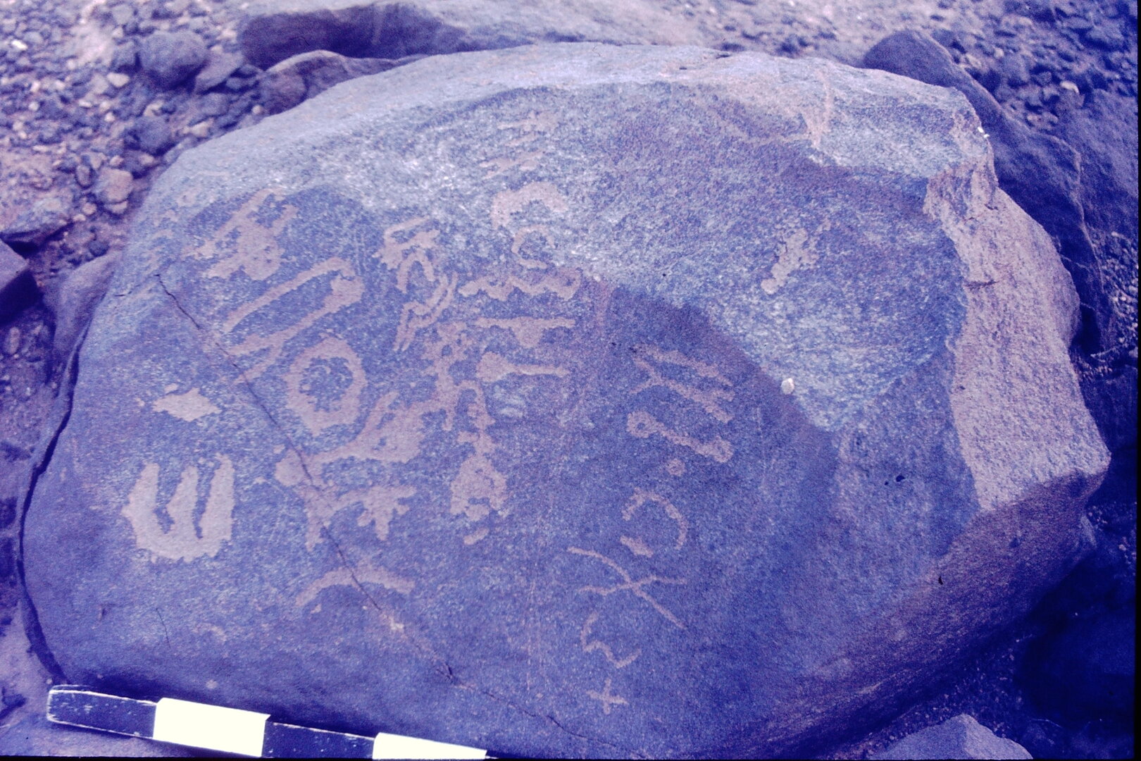 inscription of siglum CSNS 512
