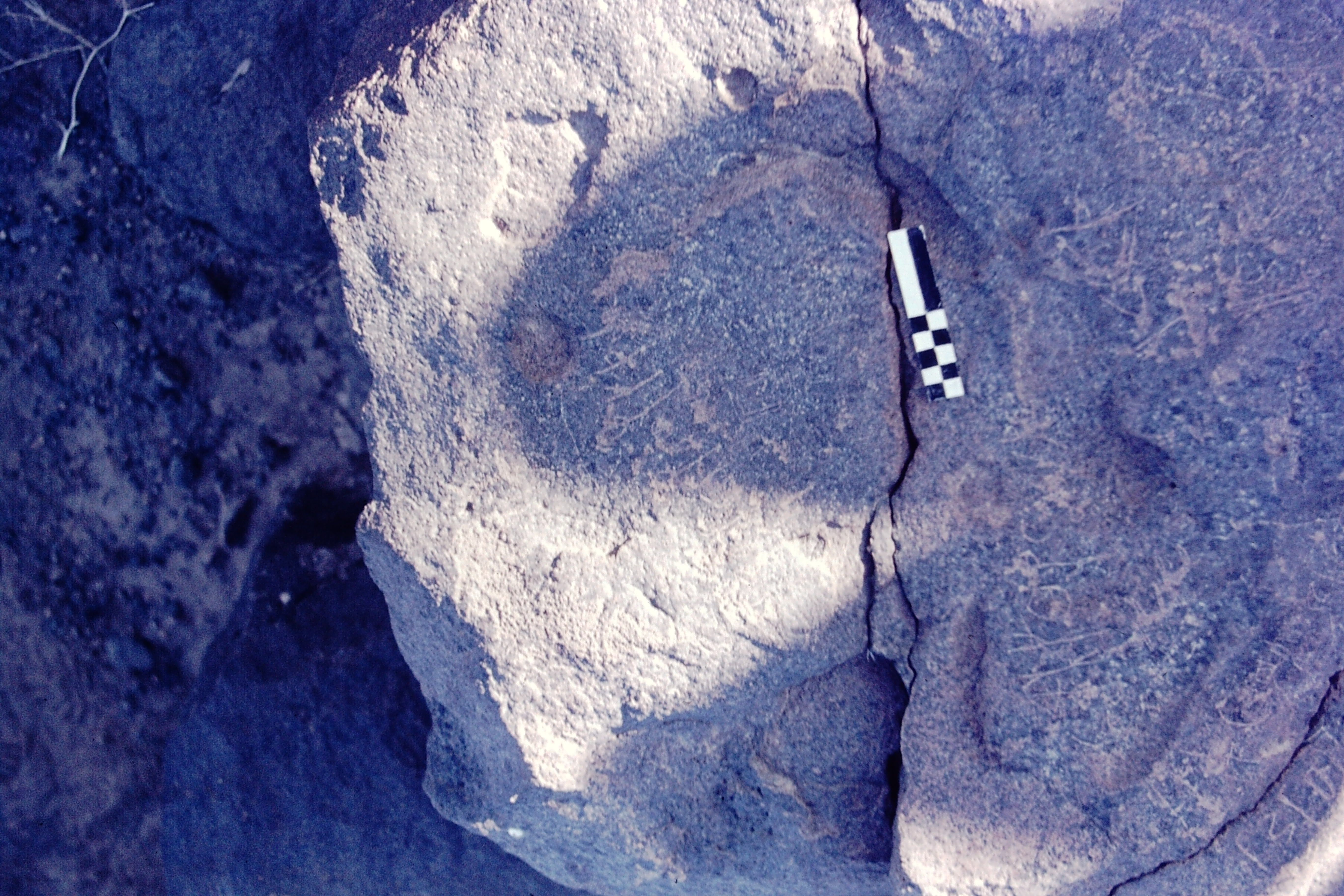 inscription of siglum CSNS 521