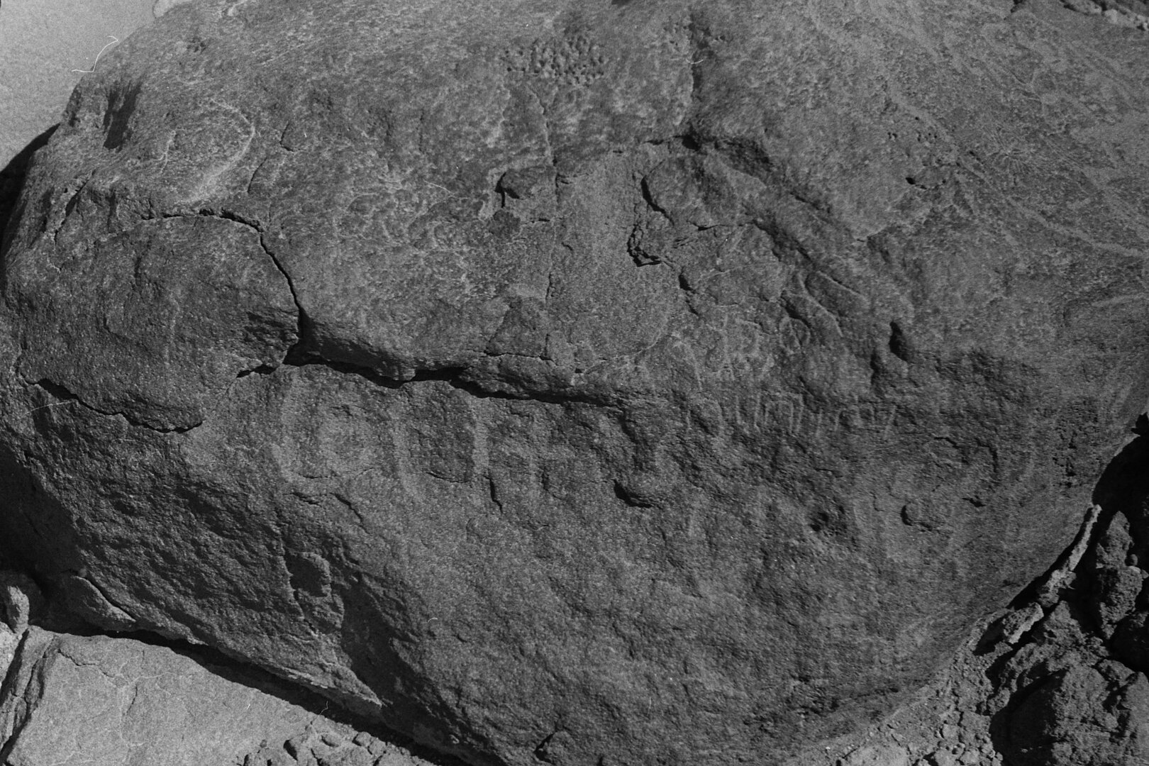 inscription of siglum CSNS 555