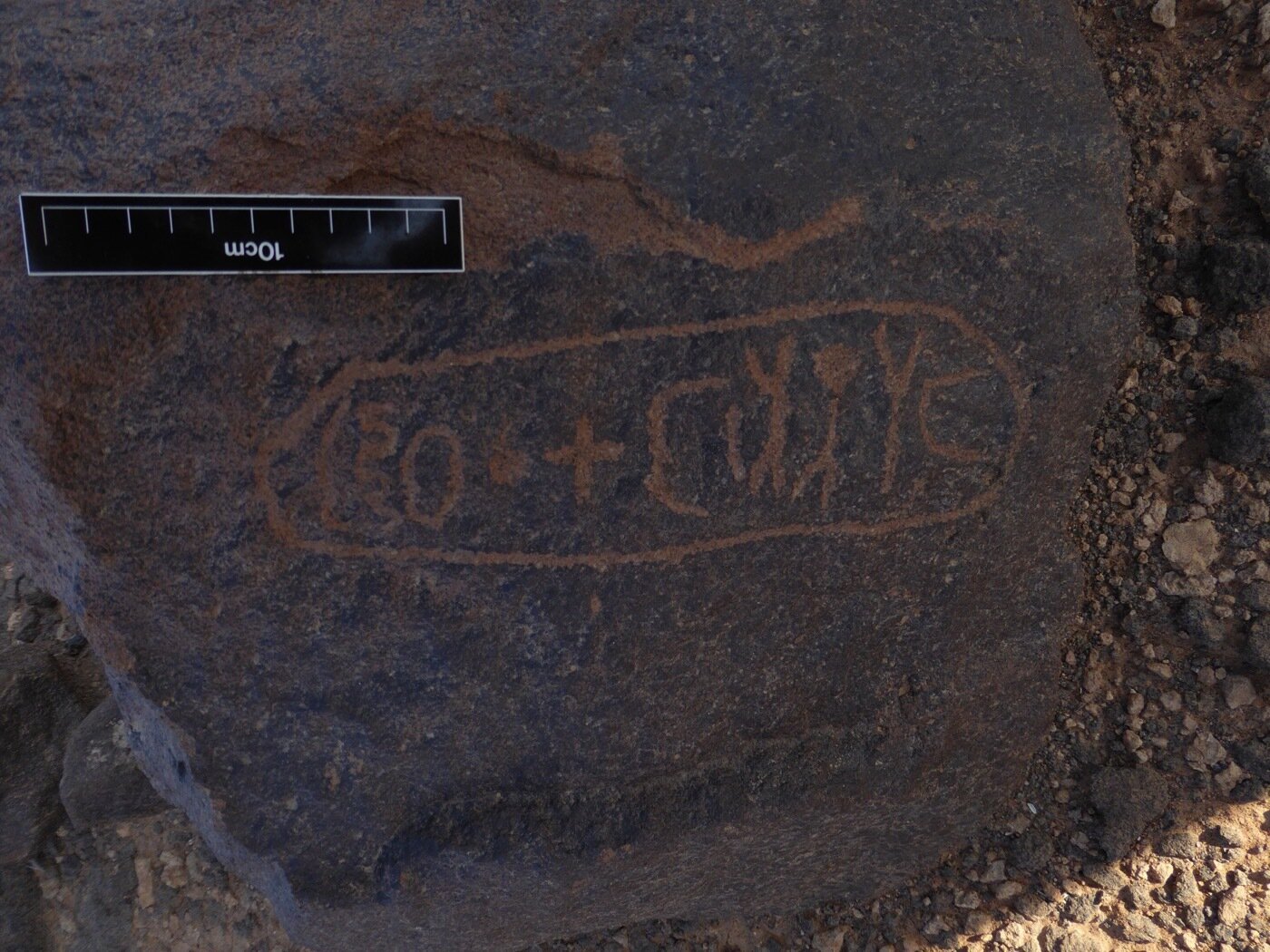 inscription of siglum CSNS 558