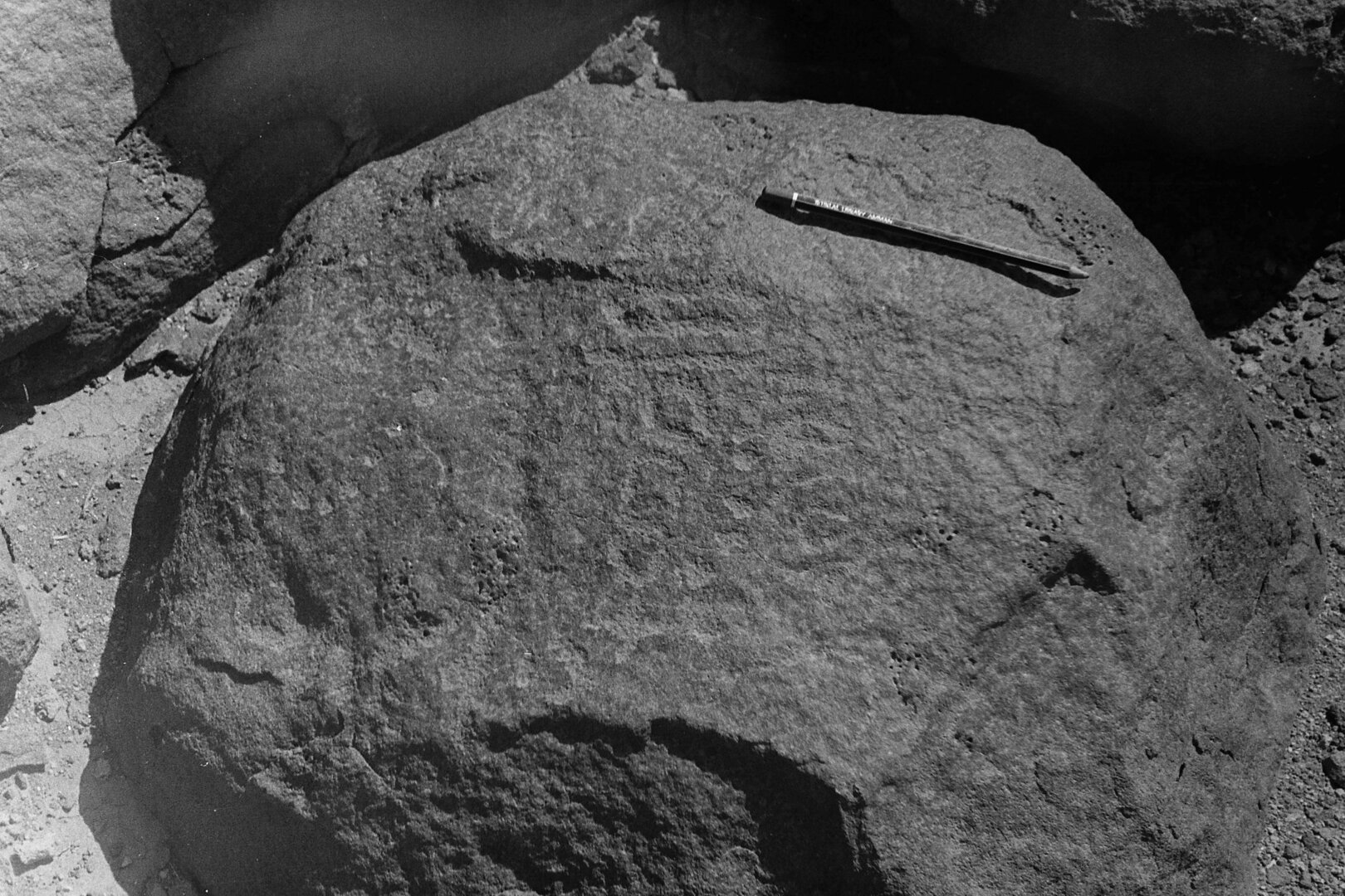 inscription of siglum CSNS 559
