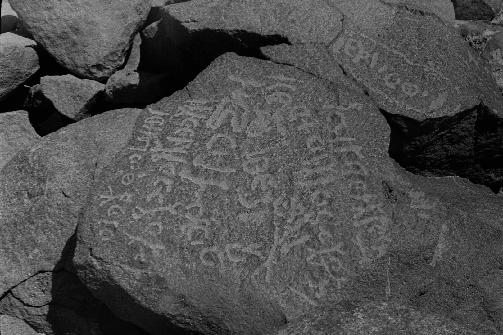 inscription of siglum CSNS 564