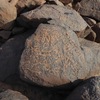 inscription of siglum CSNS 567
