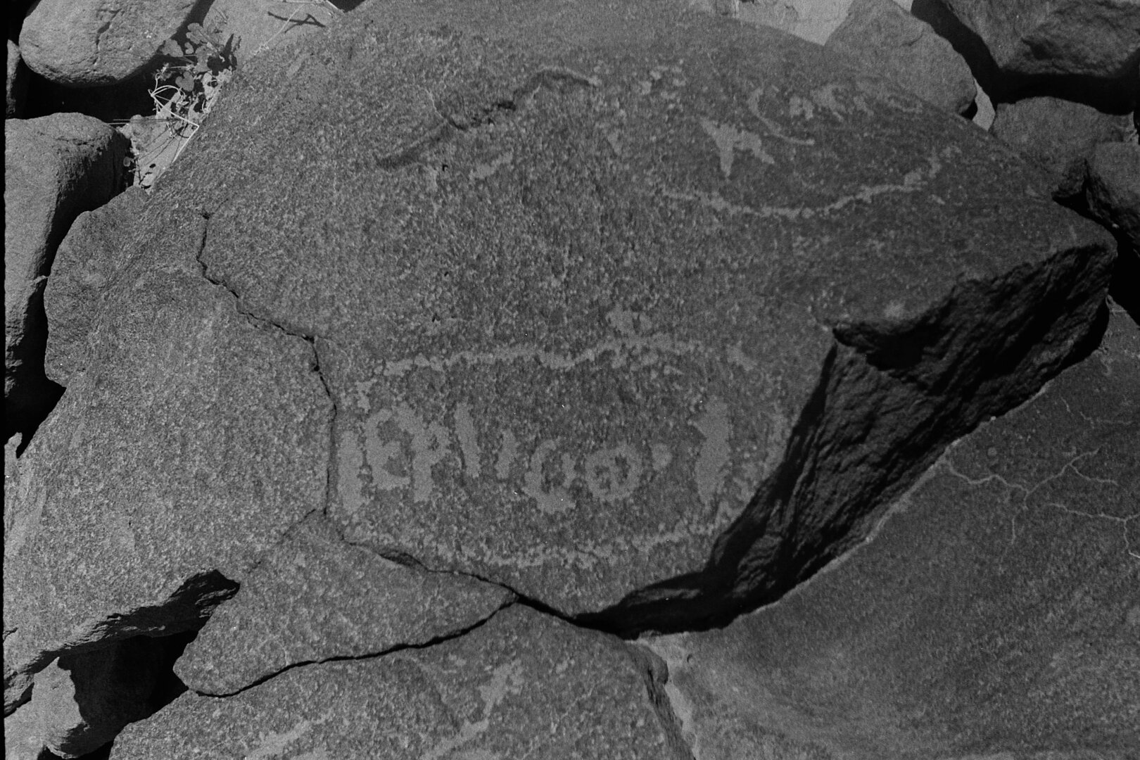 inscription of siglum CSNS 568