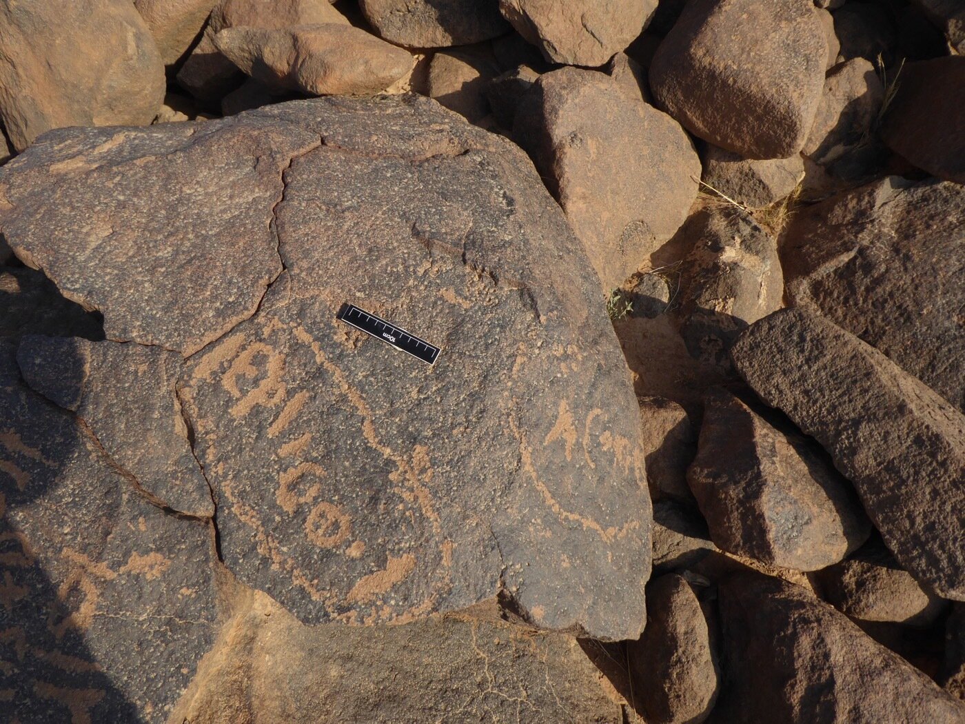 inscription of siglum CSNS 568