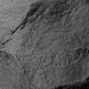 inscription of siglum CSNS 583
