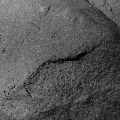 inscription of siglum CSNS 593