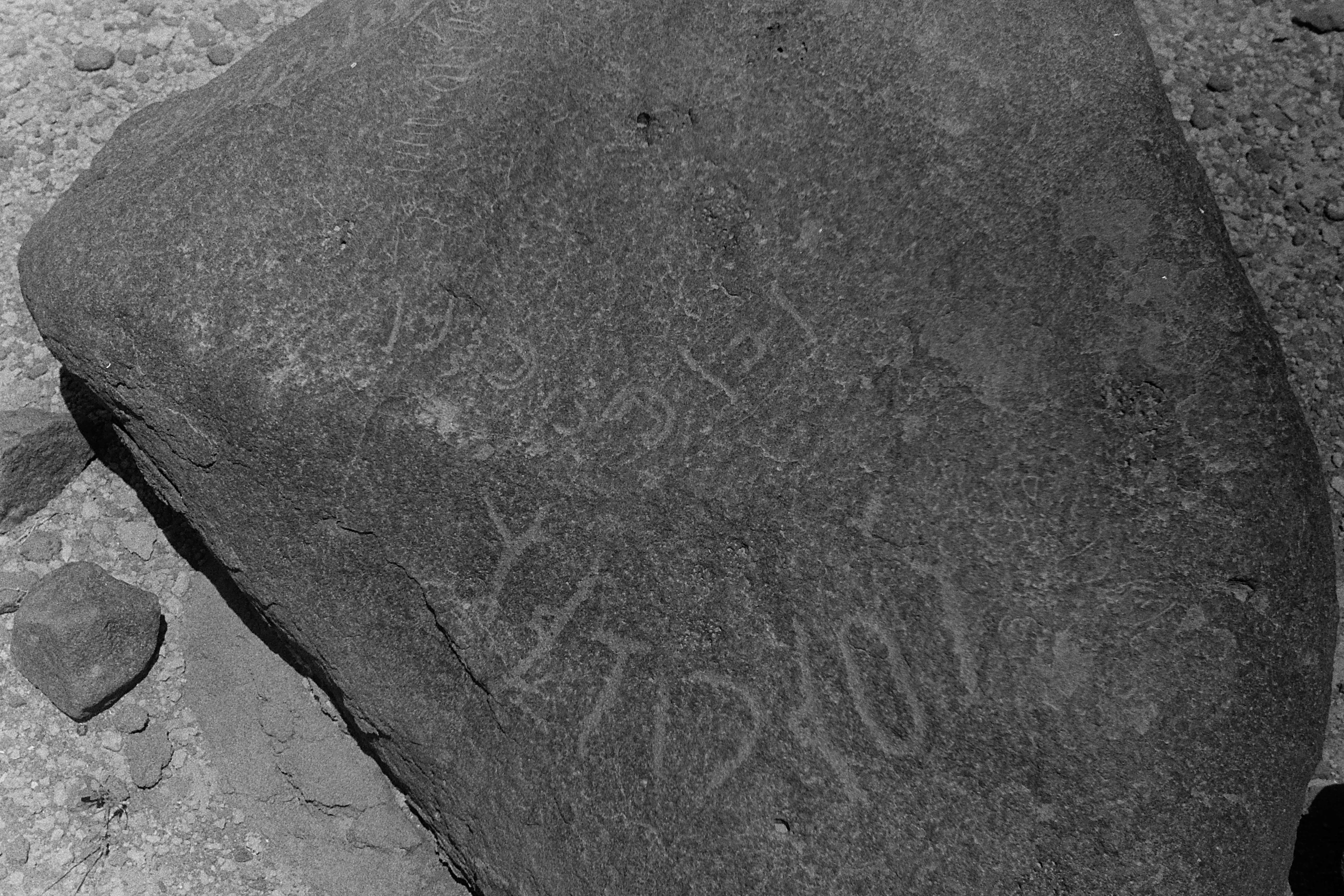 inscription of siglum CSNS 593