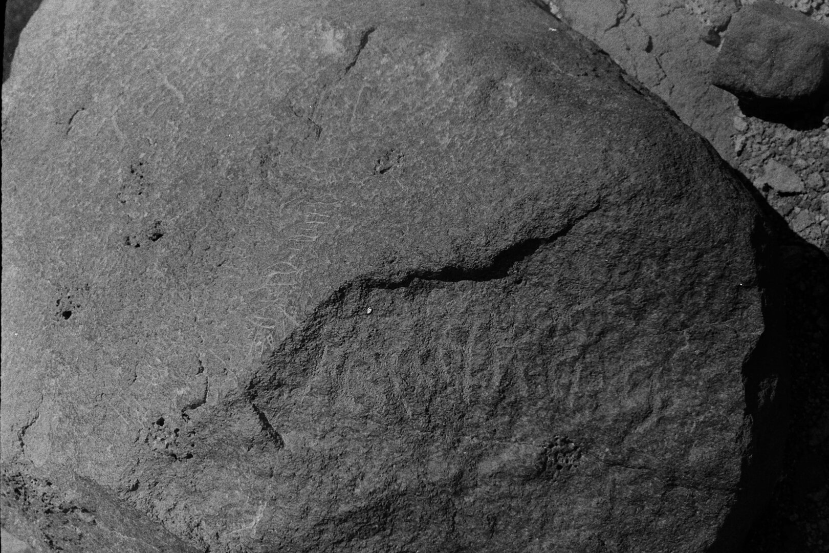 inscription of siglum CSNS 597