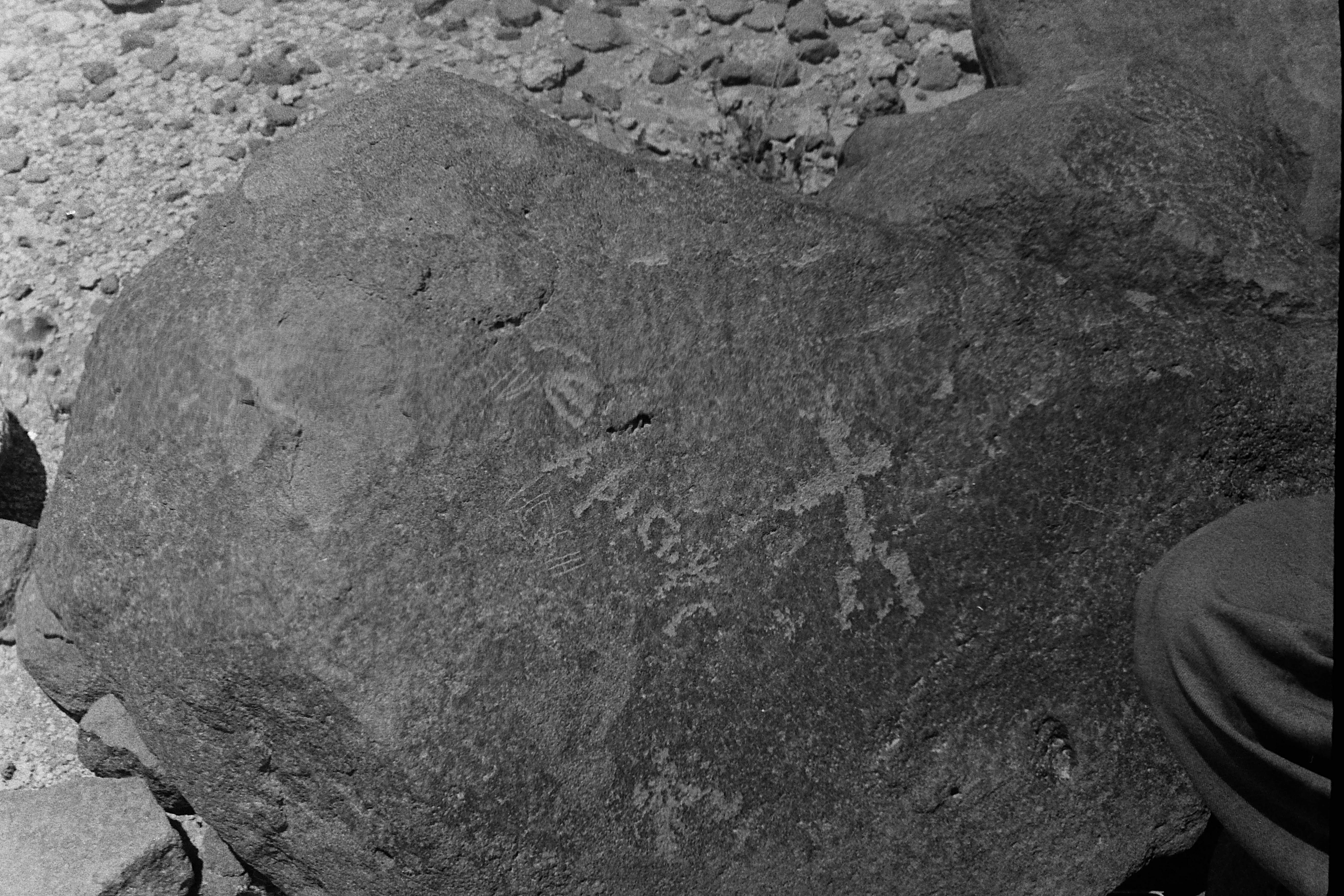 inscription of siglum CSNS 599