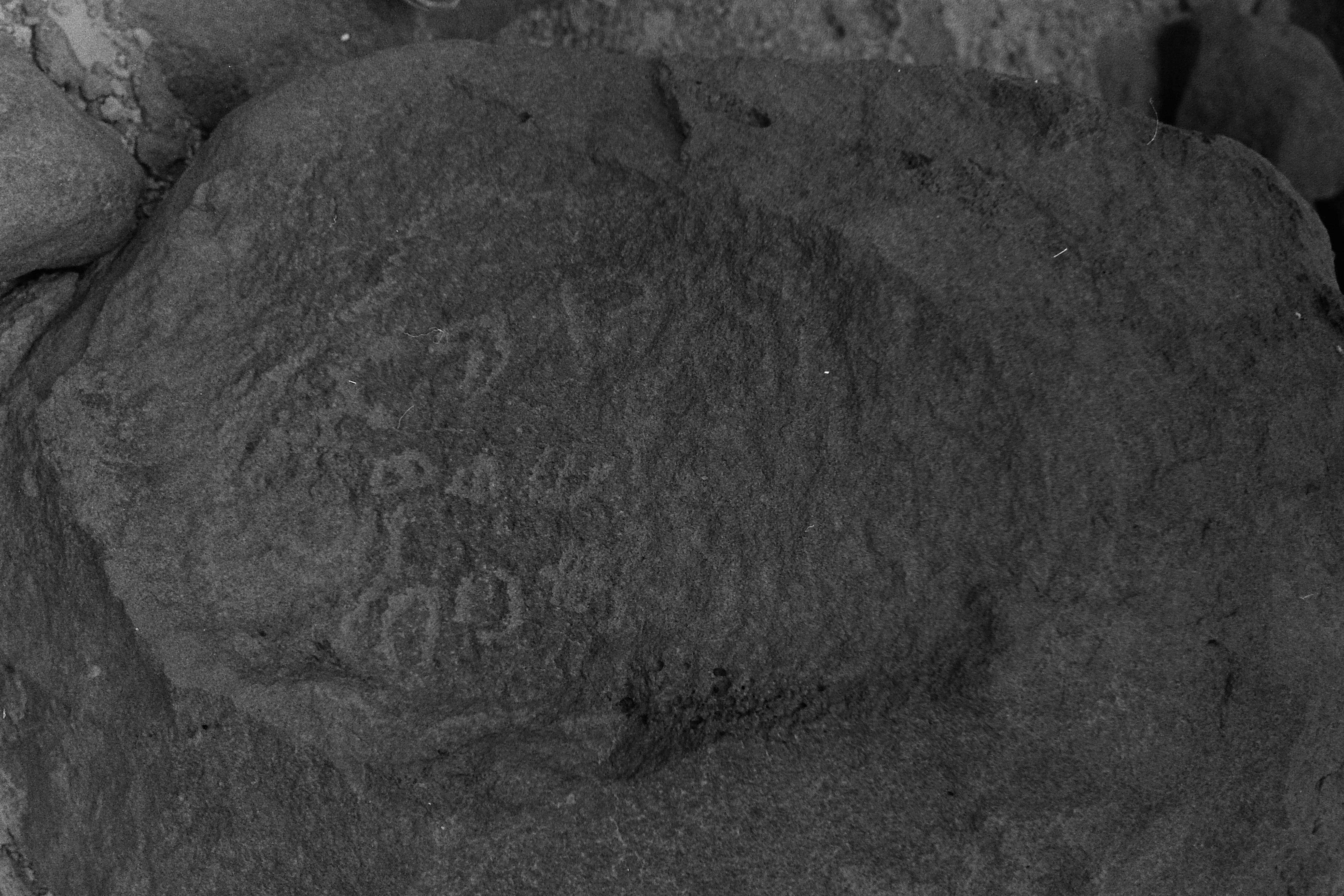 inscription of siglum CSNS 603