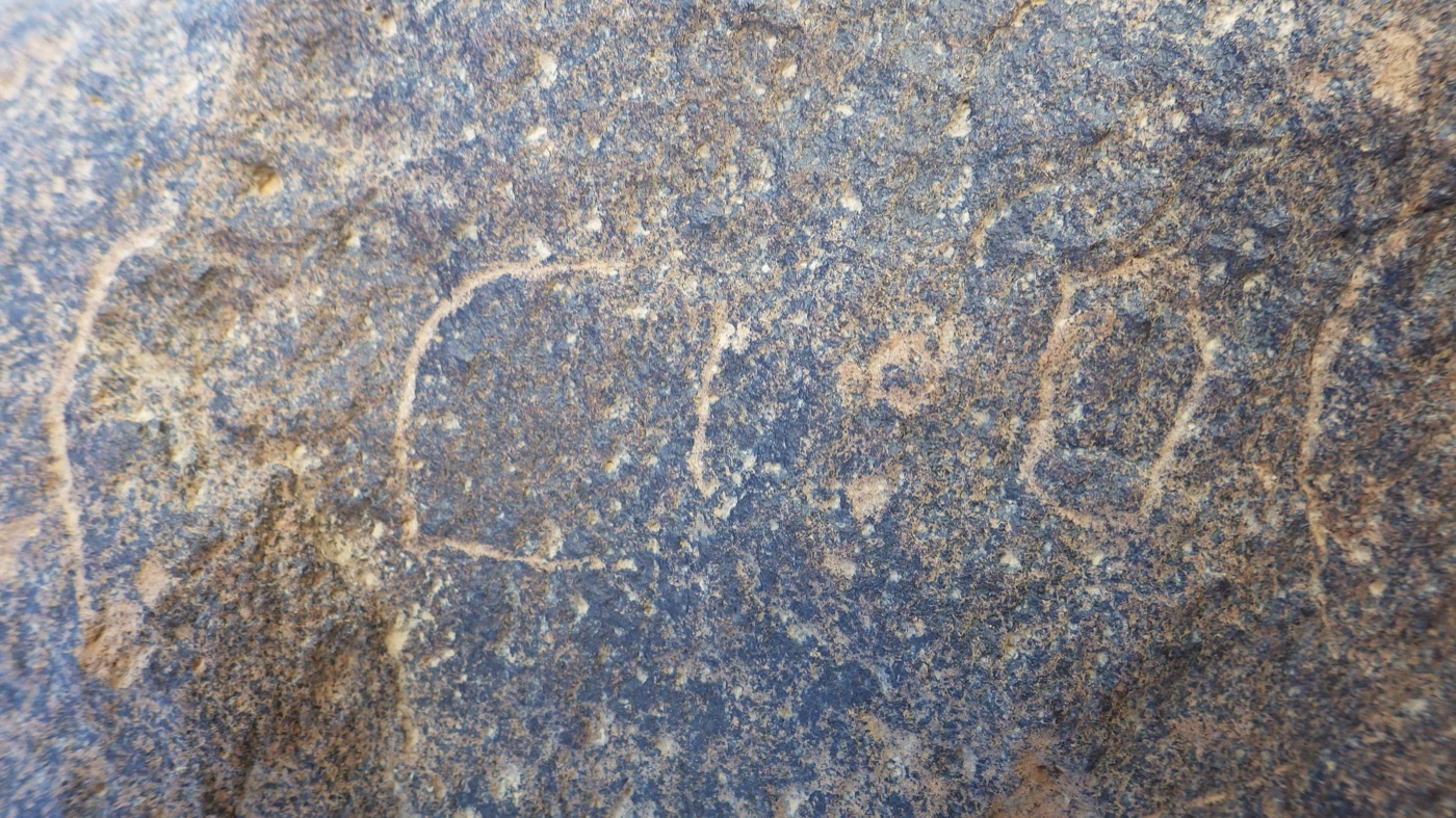 inscription of siglum CSNS 719