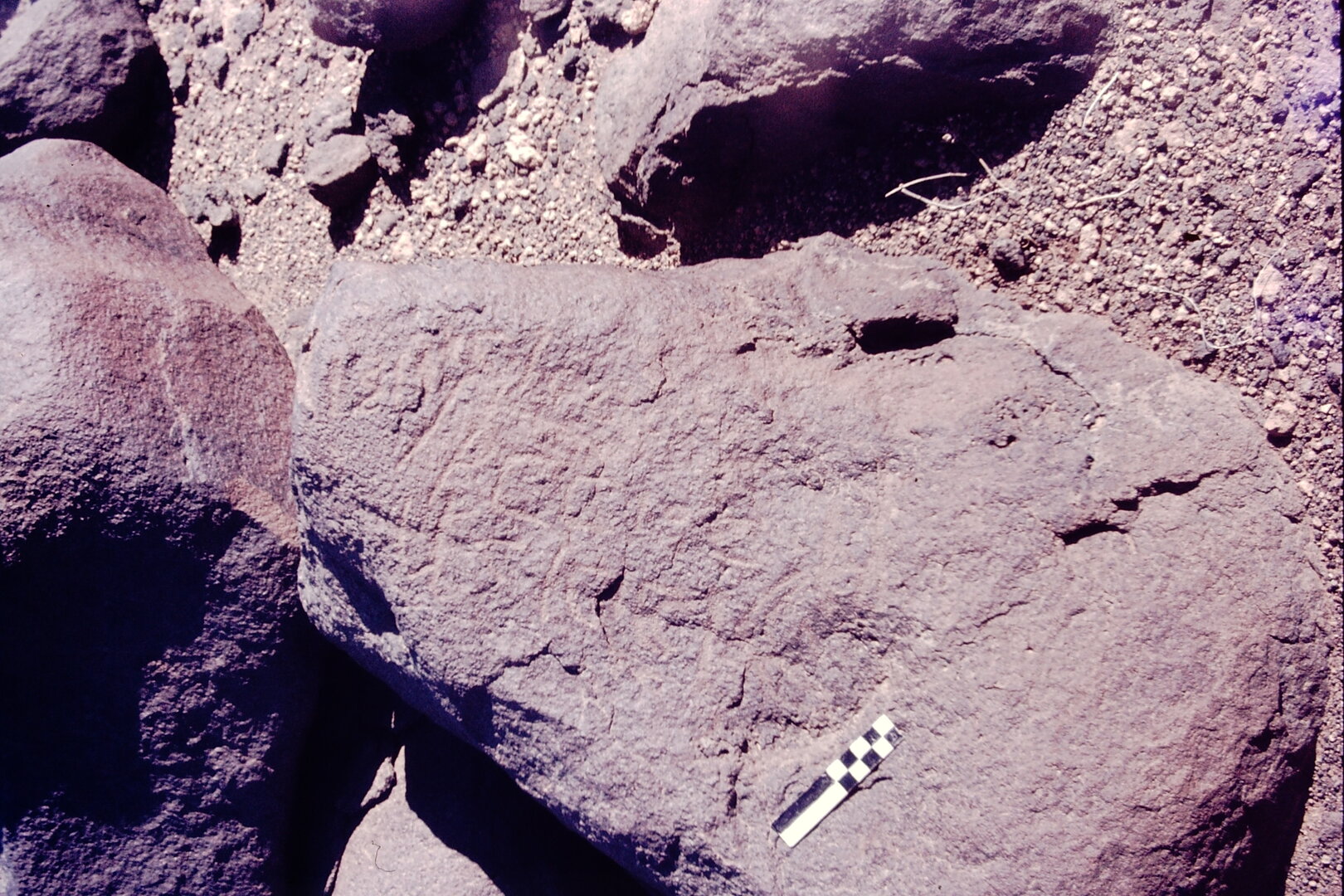 inscription of siglum CSNS 731