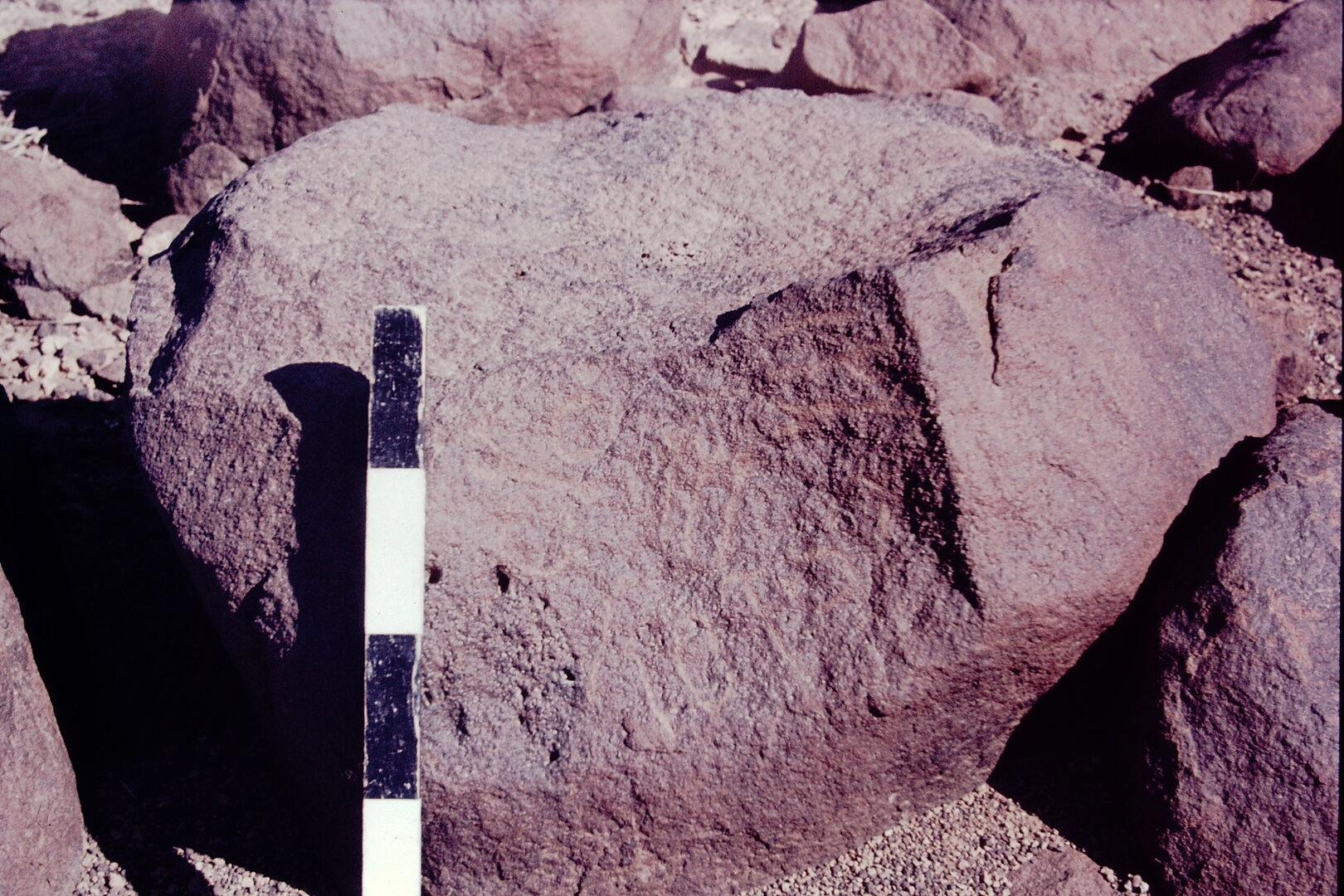 inscription of siglum CSNS 737