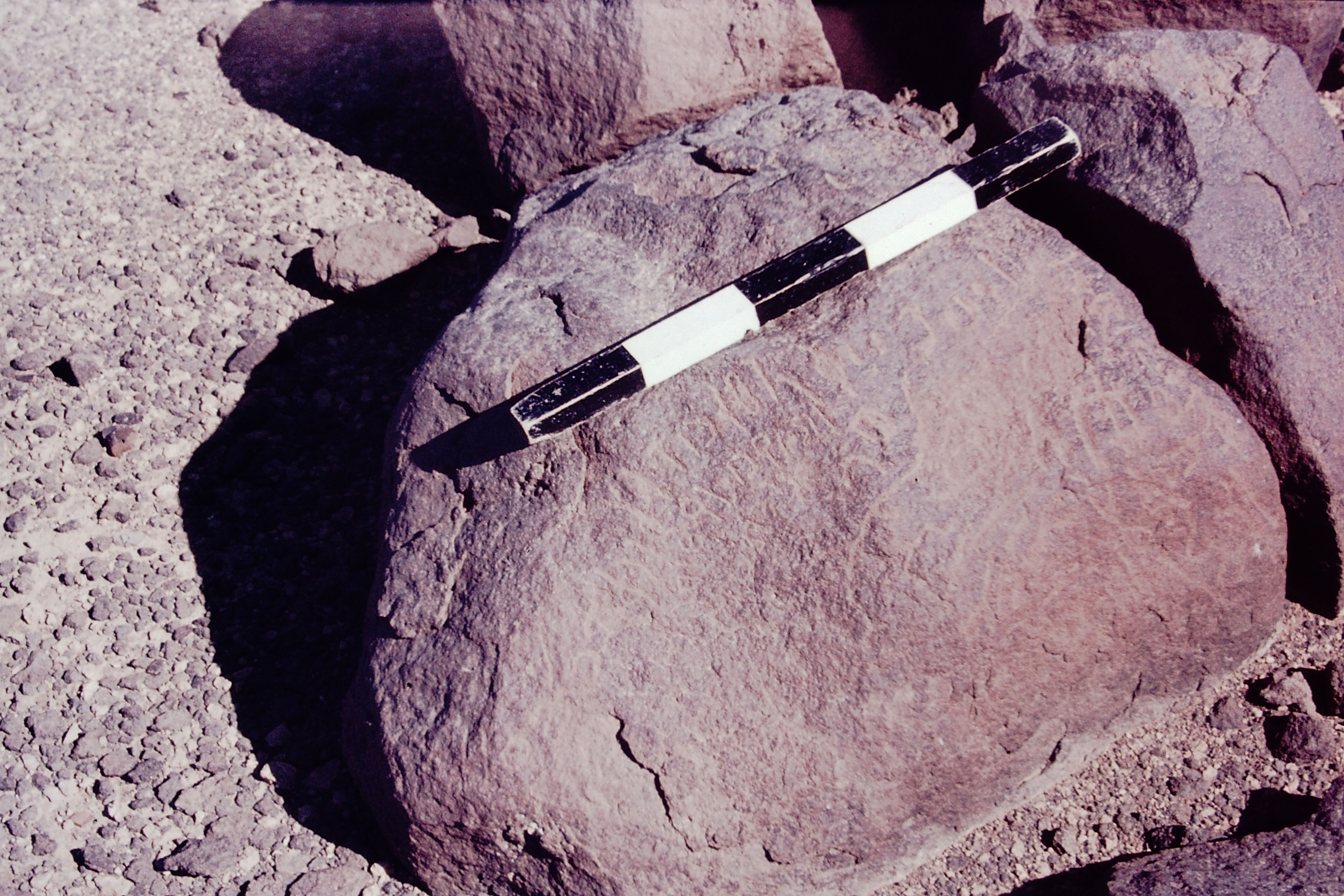 inscription of siglum CSNS 742