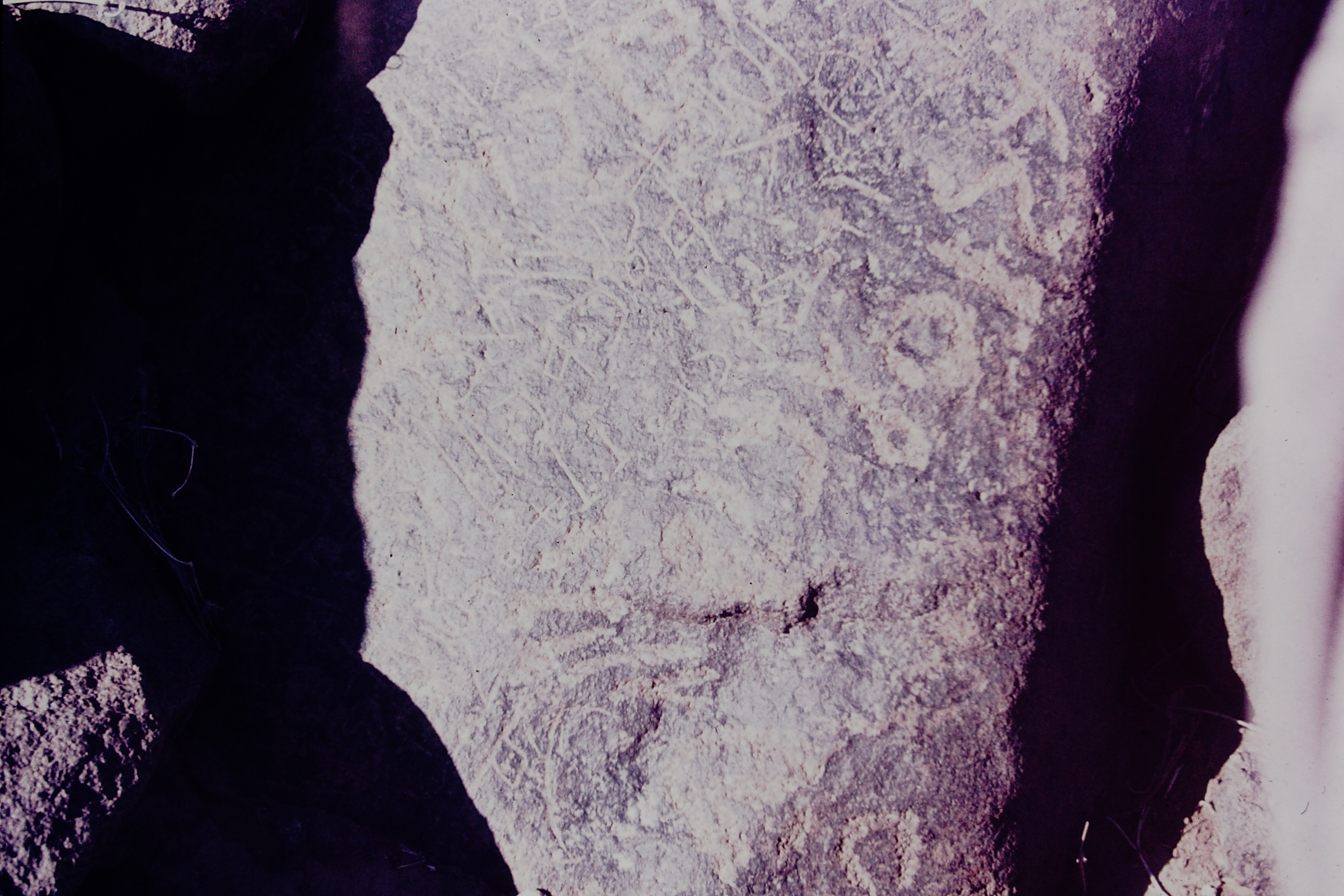 inscription of siglum CSNS 764