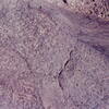 inscription of siglum CSNS 776